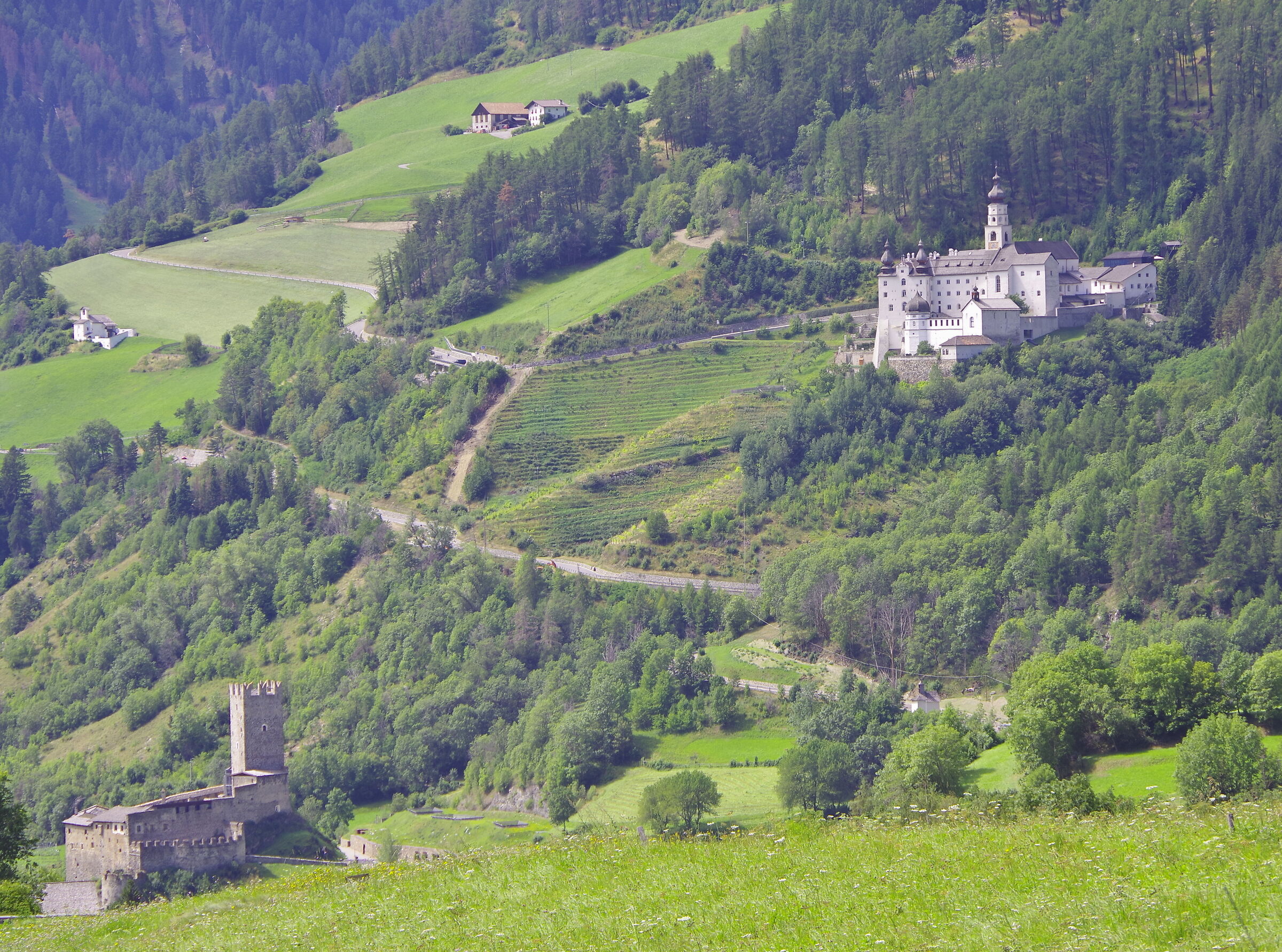 South Tyrol _ Abbot vs Count