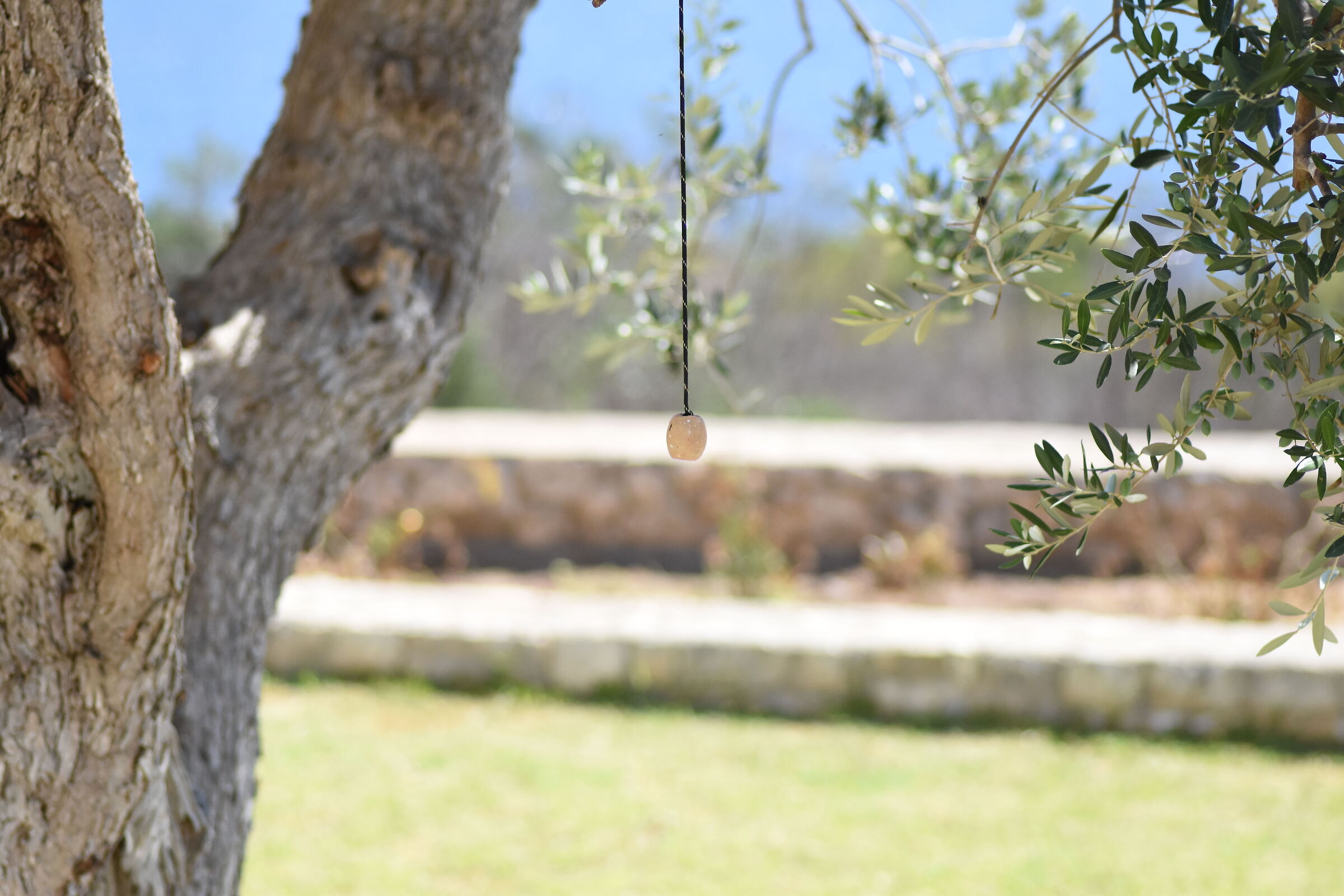 " 1/8 thousand "Tokina 100 Macro Atx-i F. 2.8- Nikon D 7200