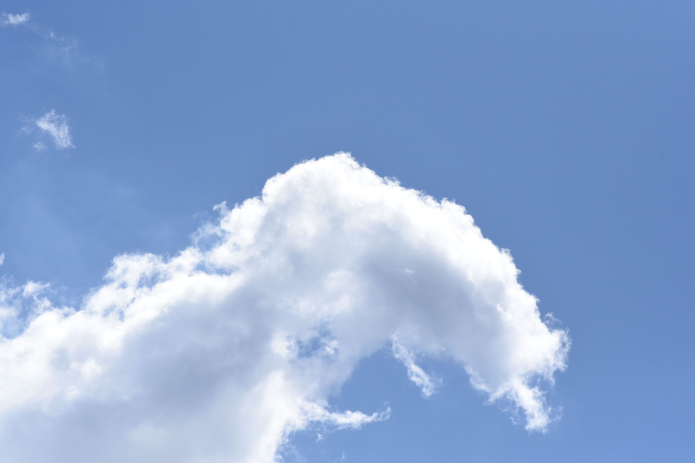 "1/8 Mila", Tokina Macro 100 F. 2.8 Atx-i- Nikon D 7200