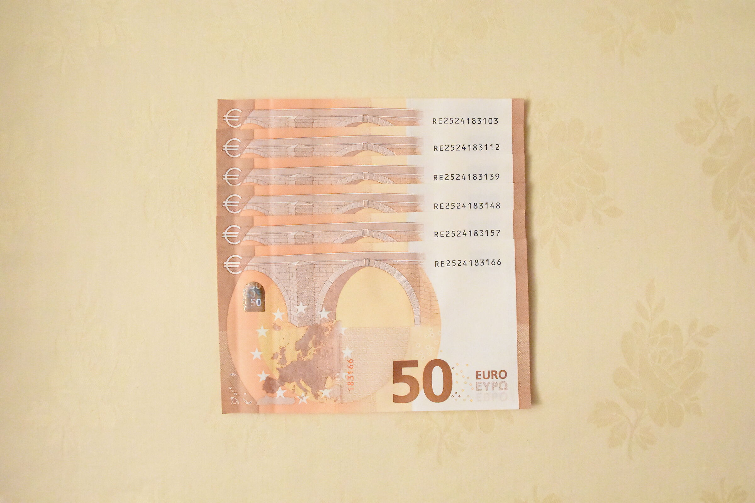 "ISO 25 Mila 600", NIkon 24- 70 F. 2.8 Vr- Nikon D...
