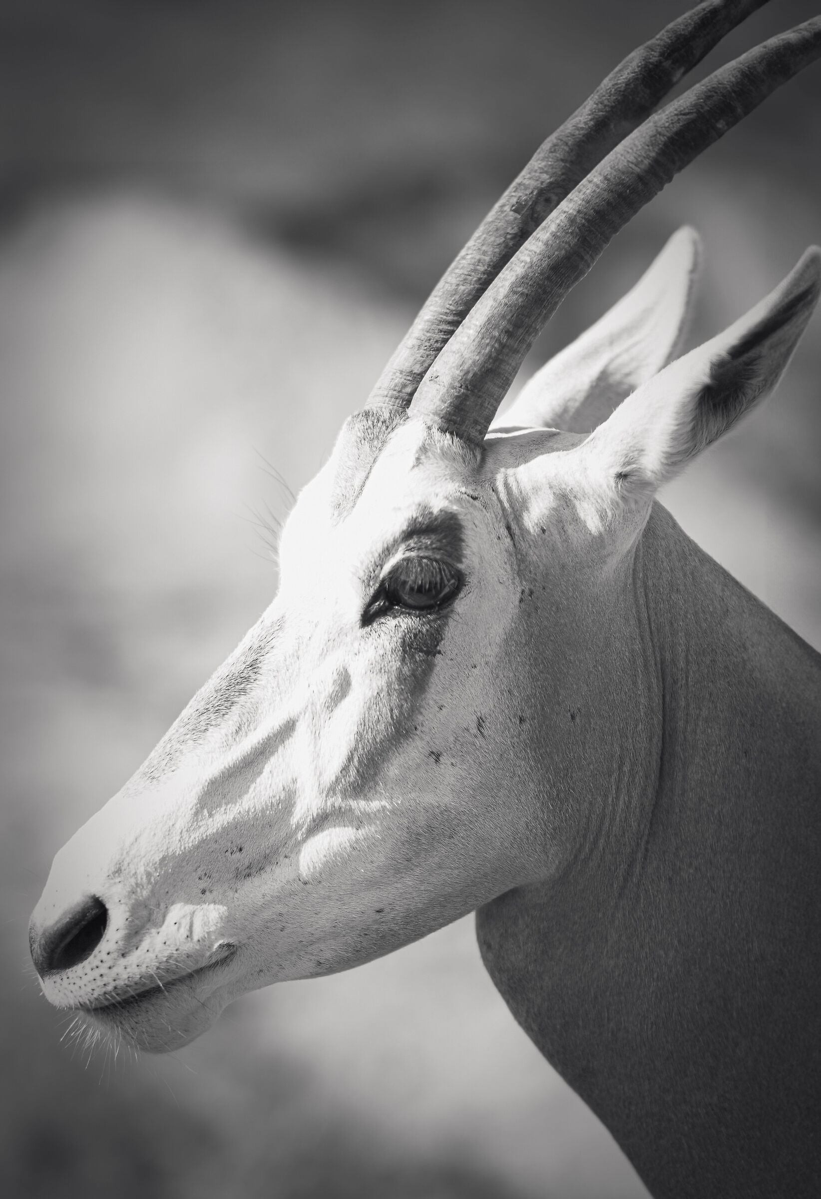 Untitled Photo