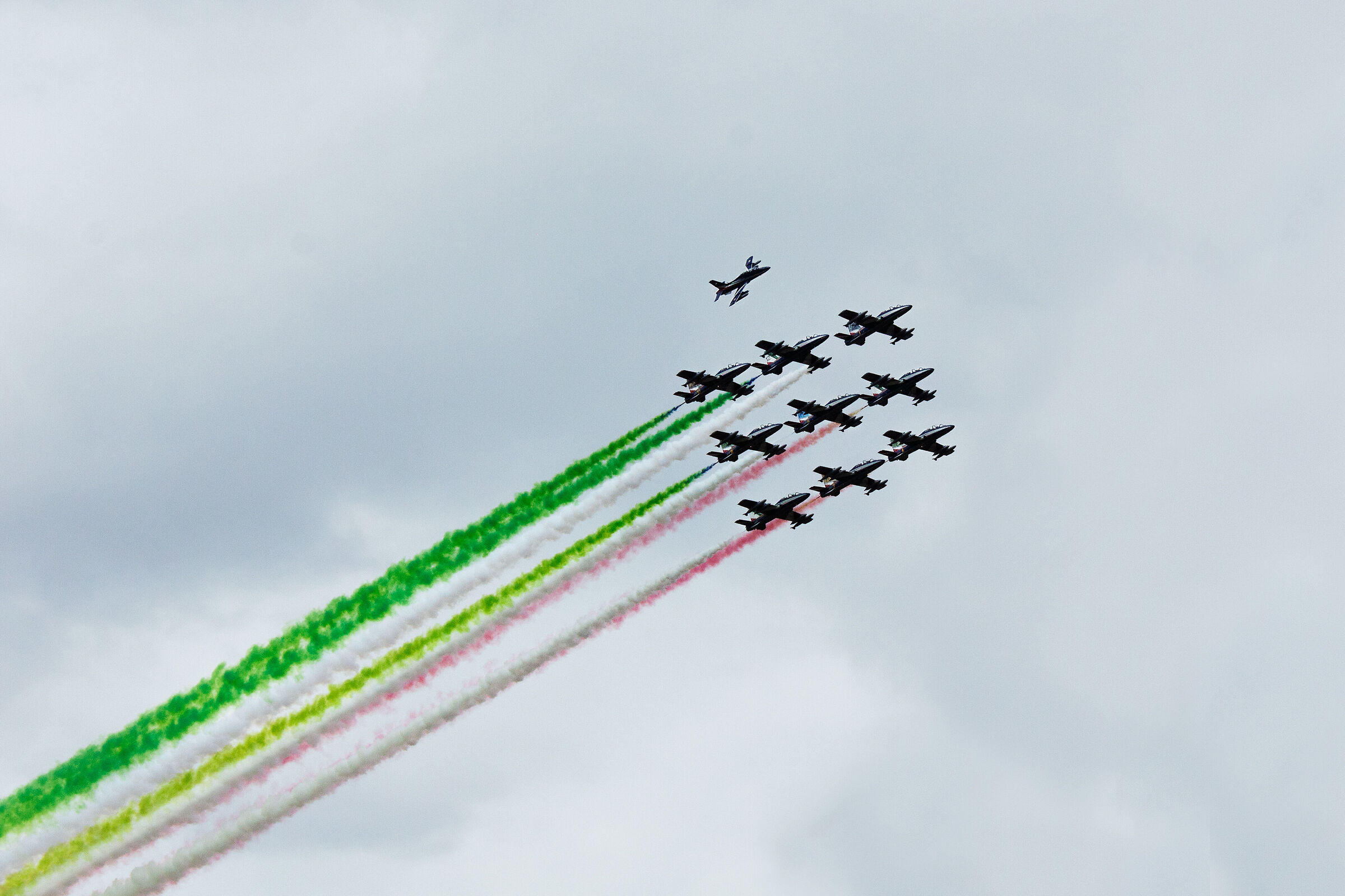 The tricolor