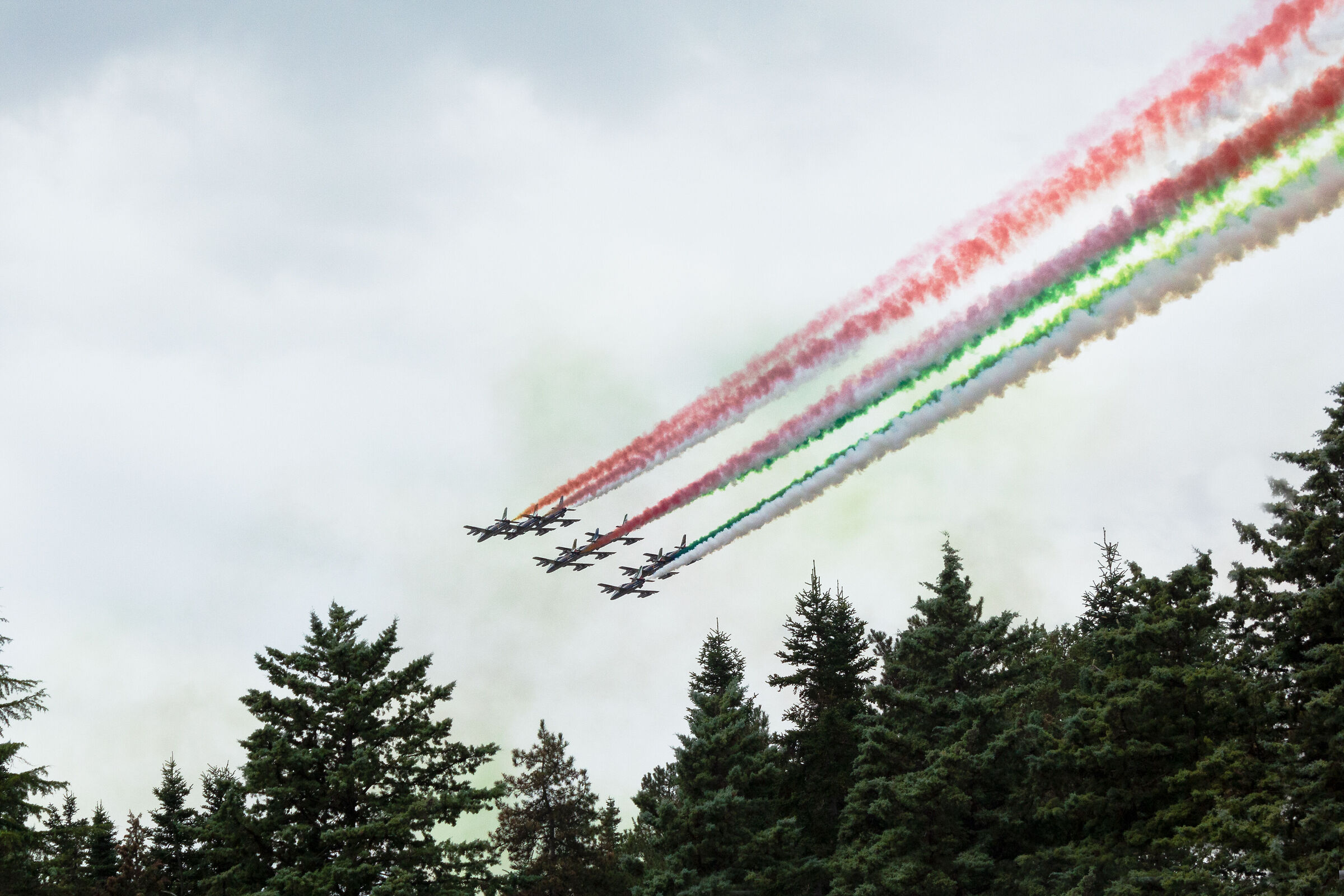 The tricolor 2