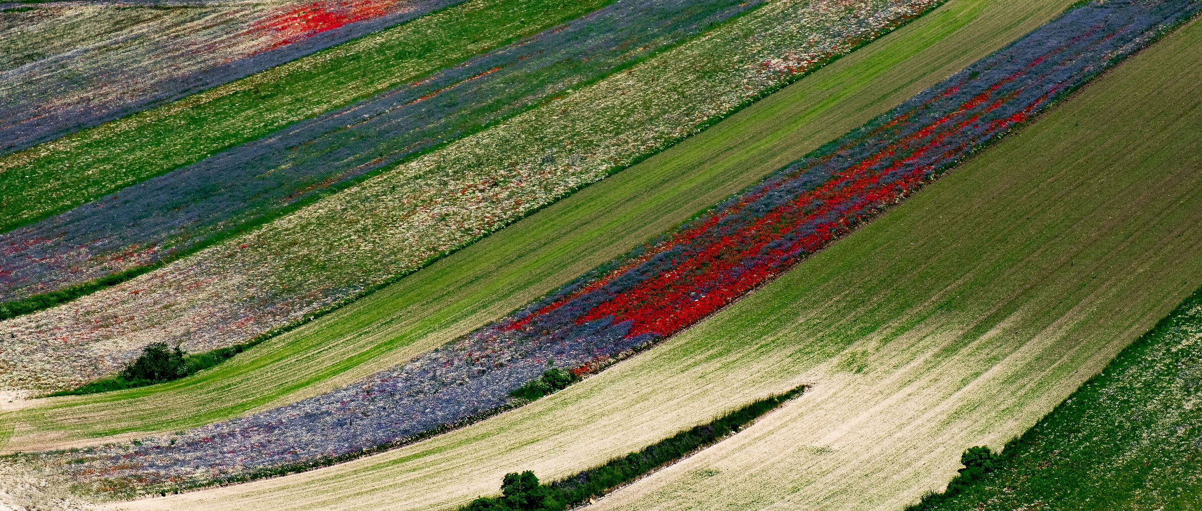 castelluccio