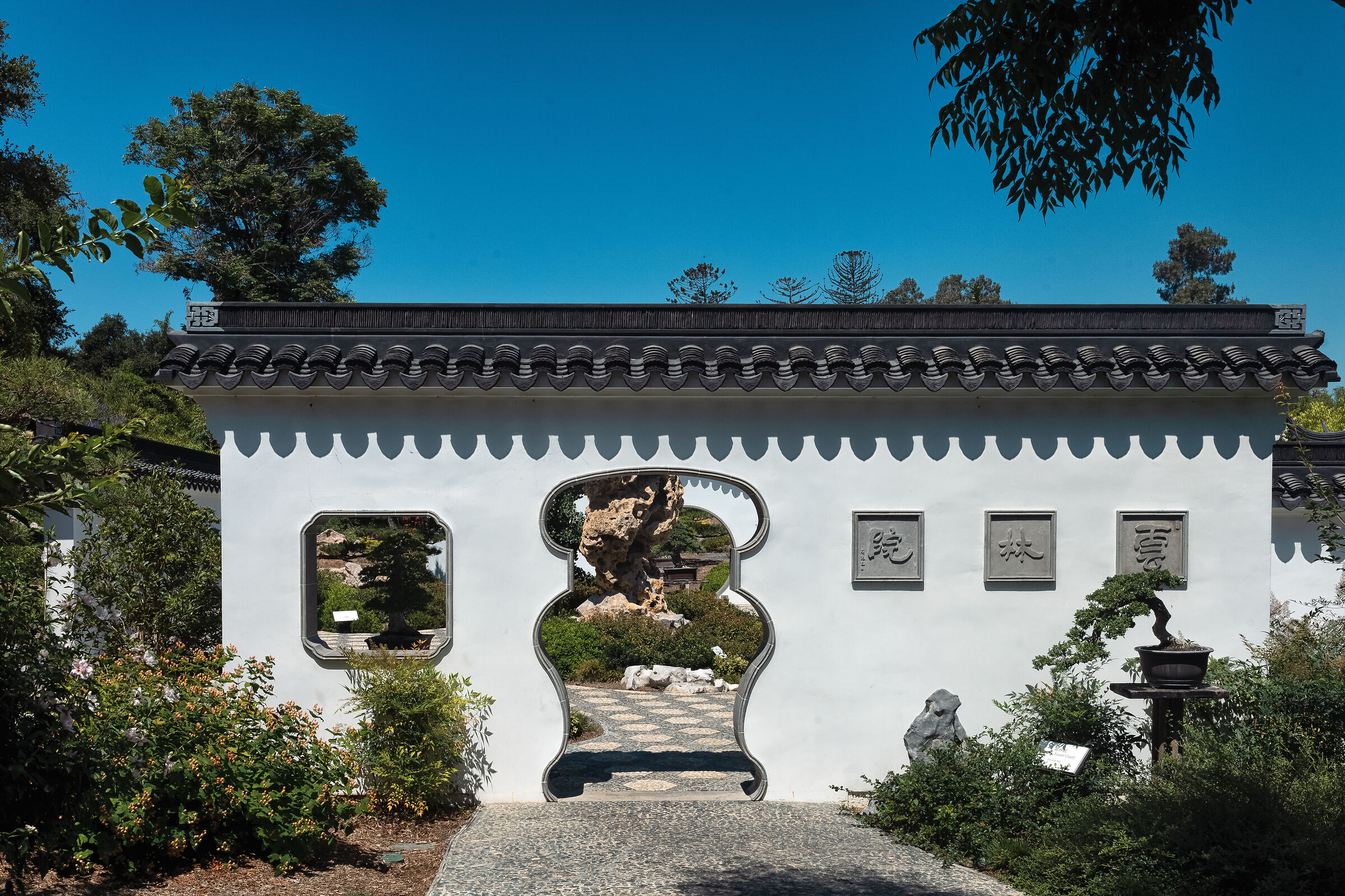 The Huntington Botanical Gardens I