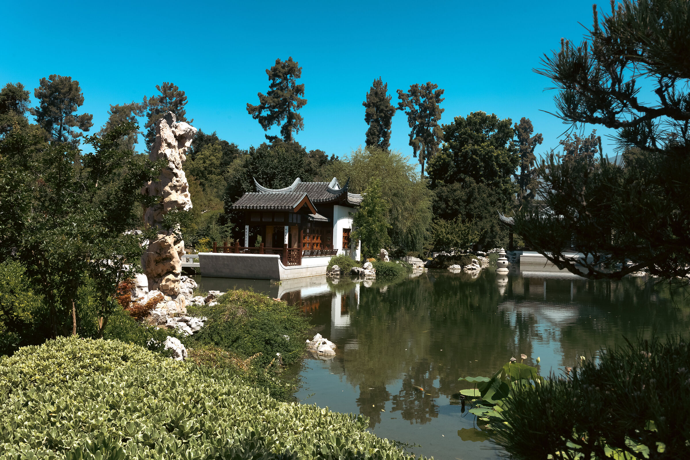 The Huntington Botanical Gardens III