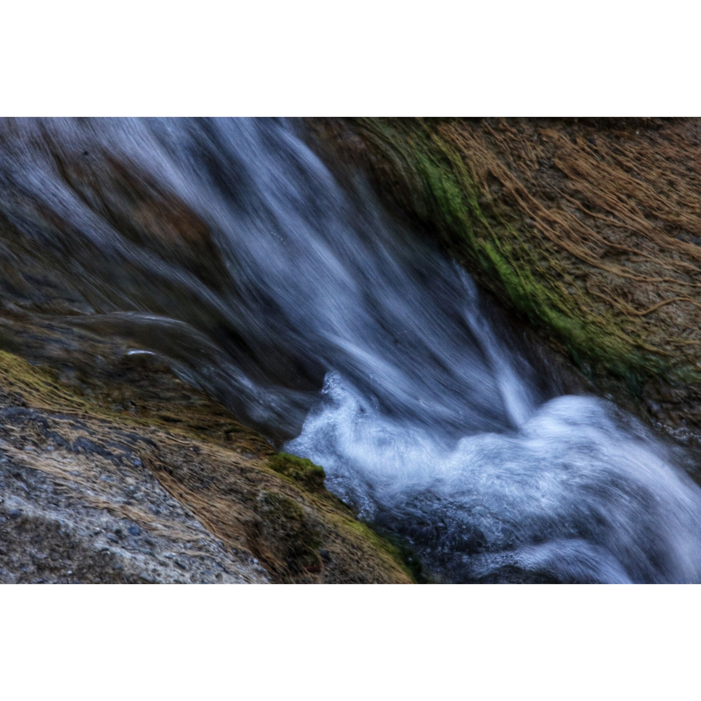 Untitled Photo