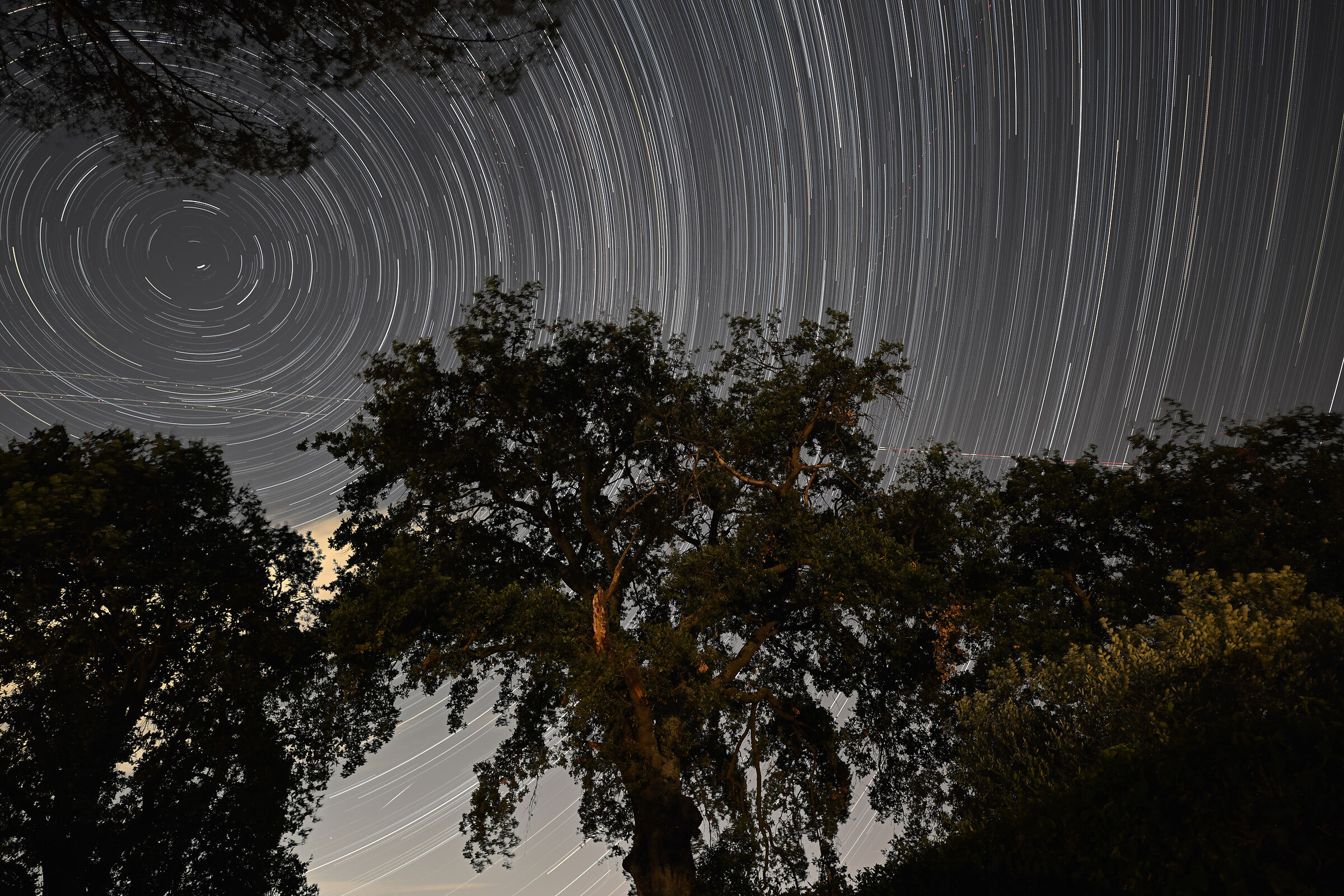 First Star trail