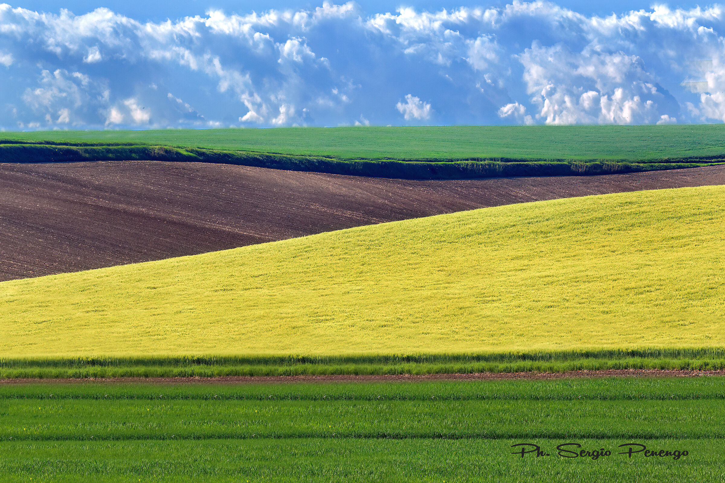 monferrato