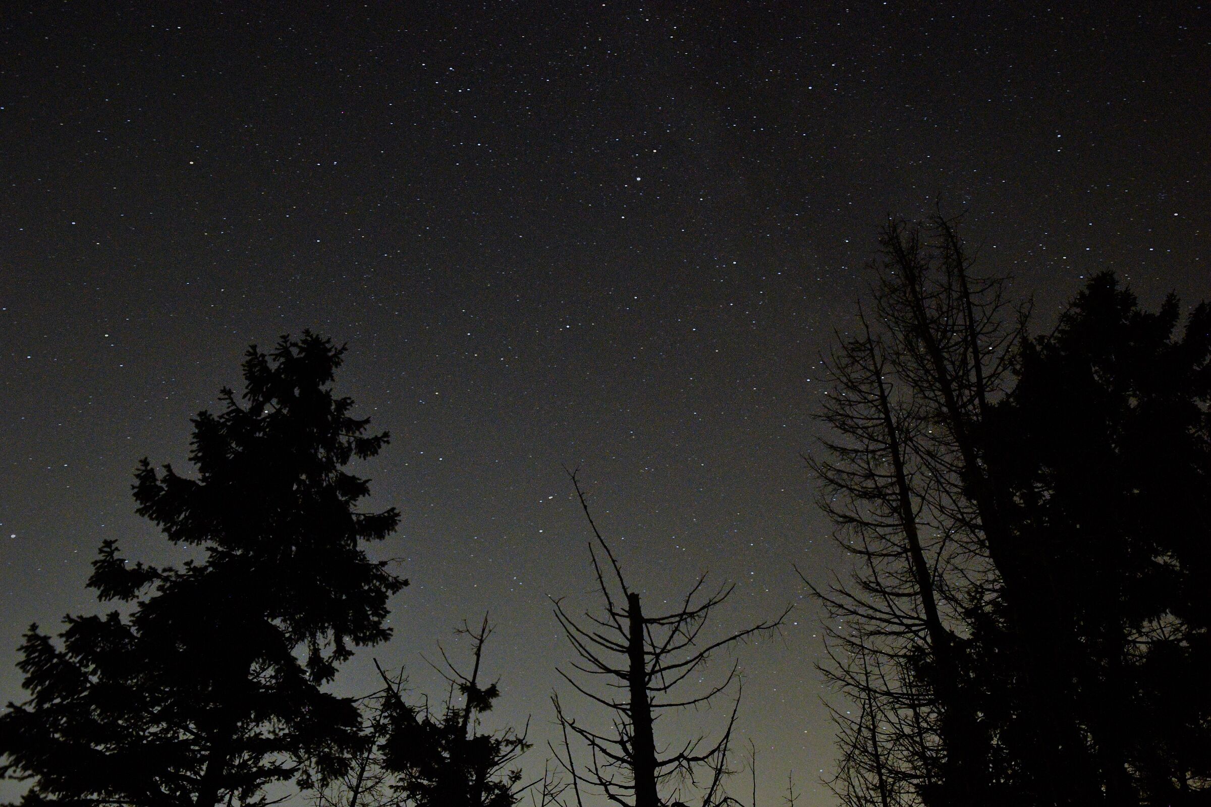 From the Femene refuge to Revine