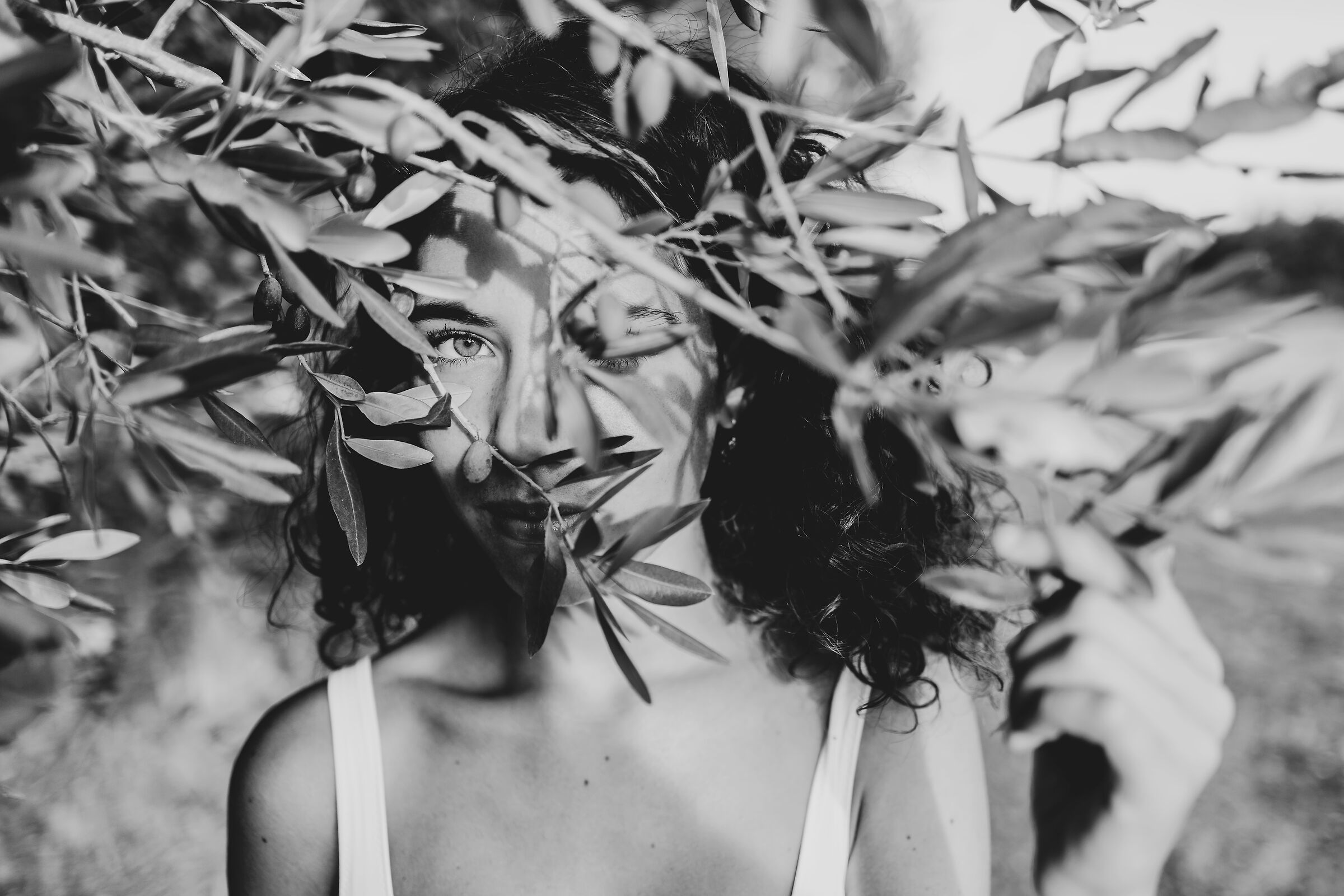 Into the leaves