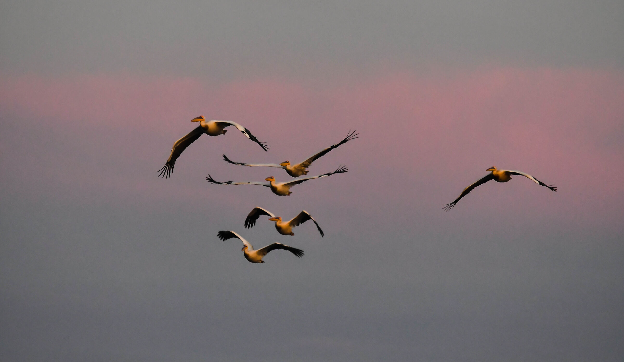 Il Delta del Danubio 2