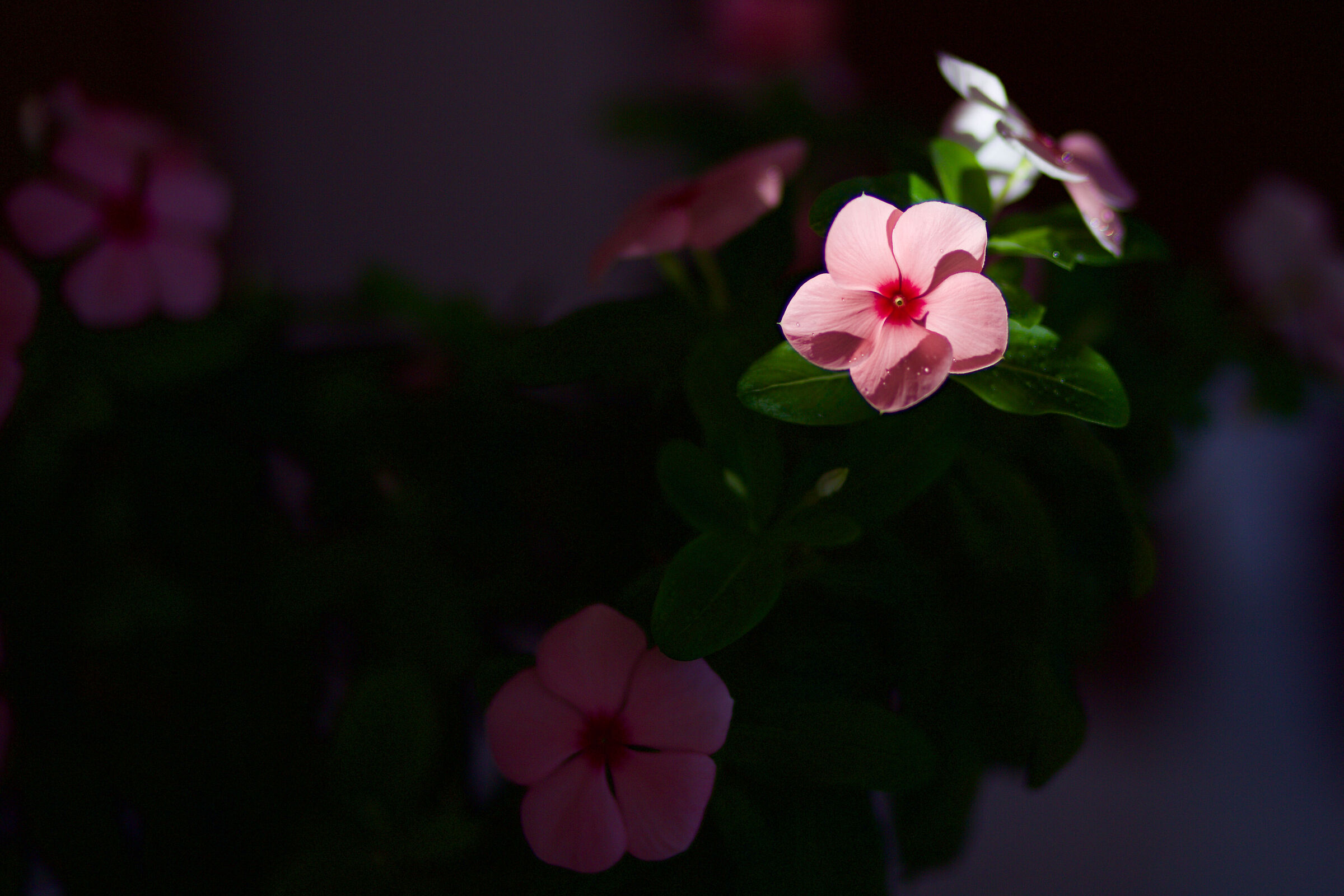 Giocando con la luce