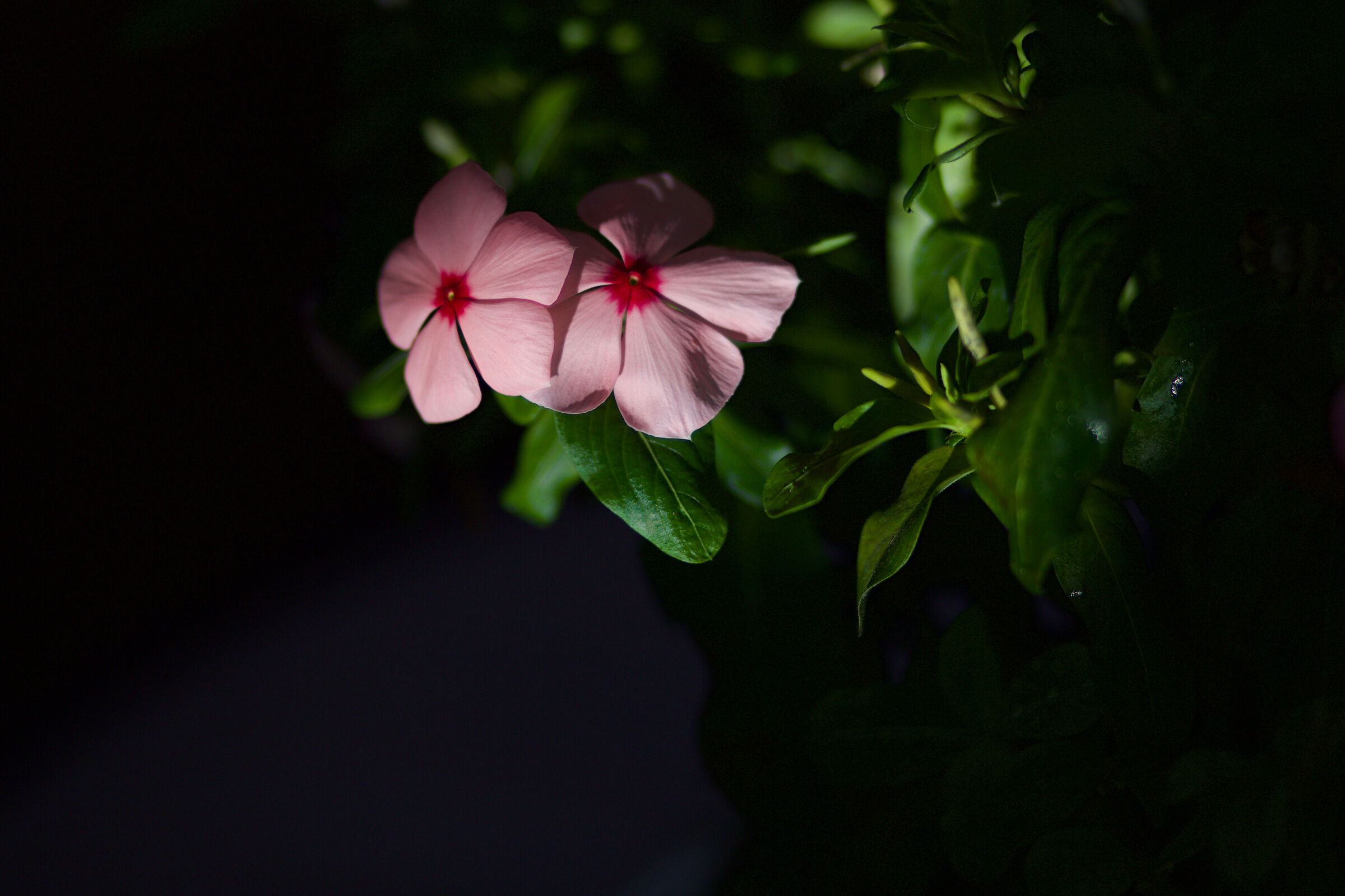 Giocando con la luce