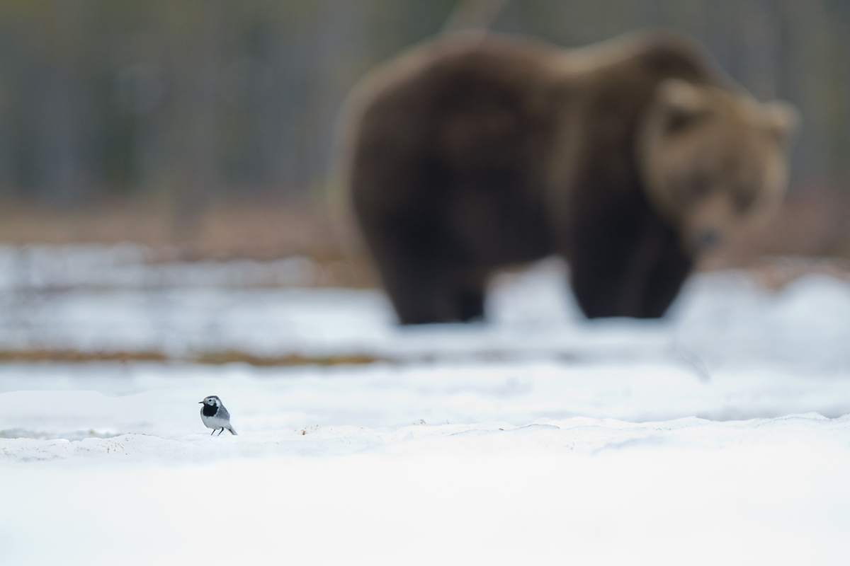 Sometimes I feel observed