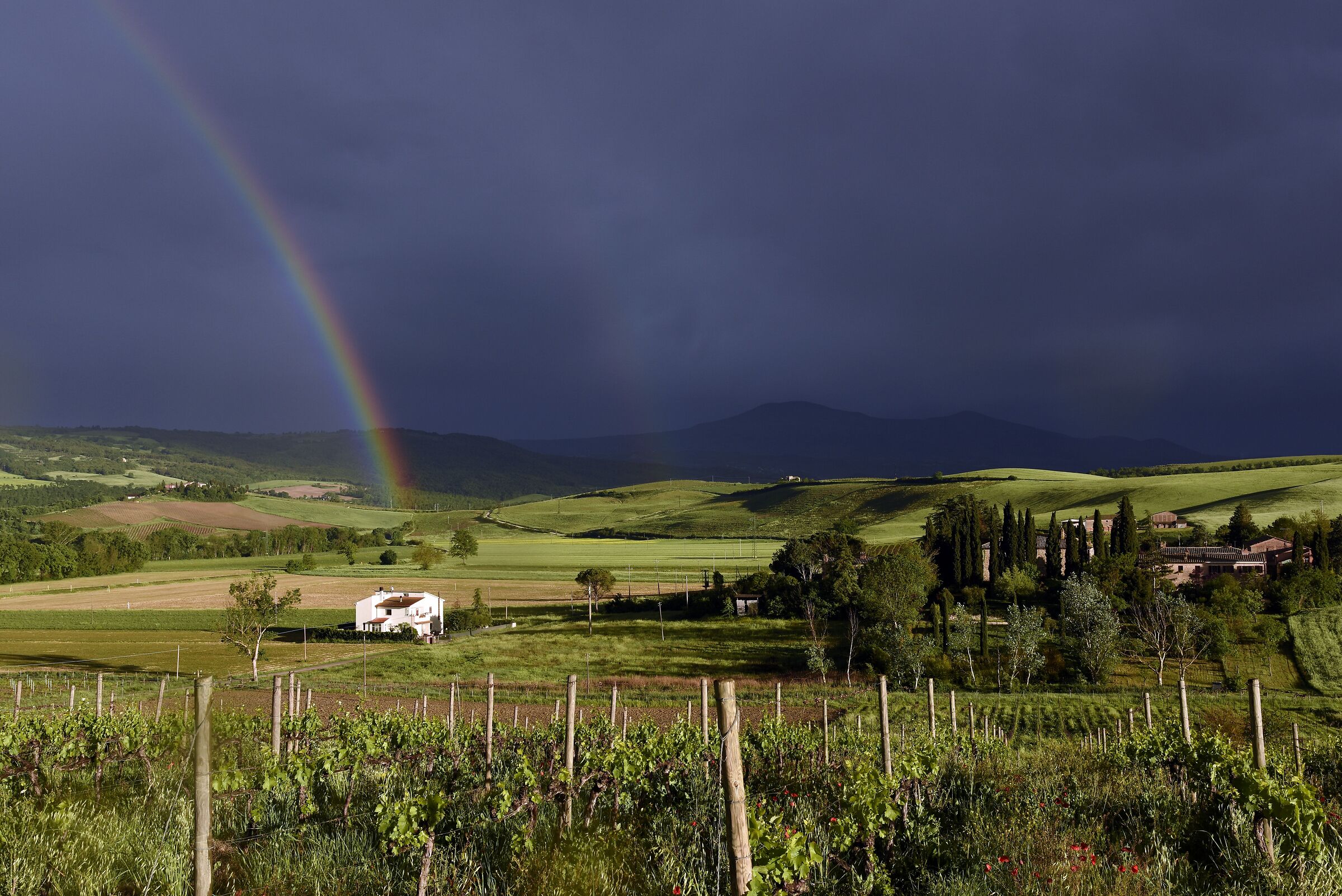 Pian dell'Asso, Montalcino
