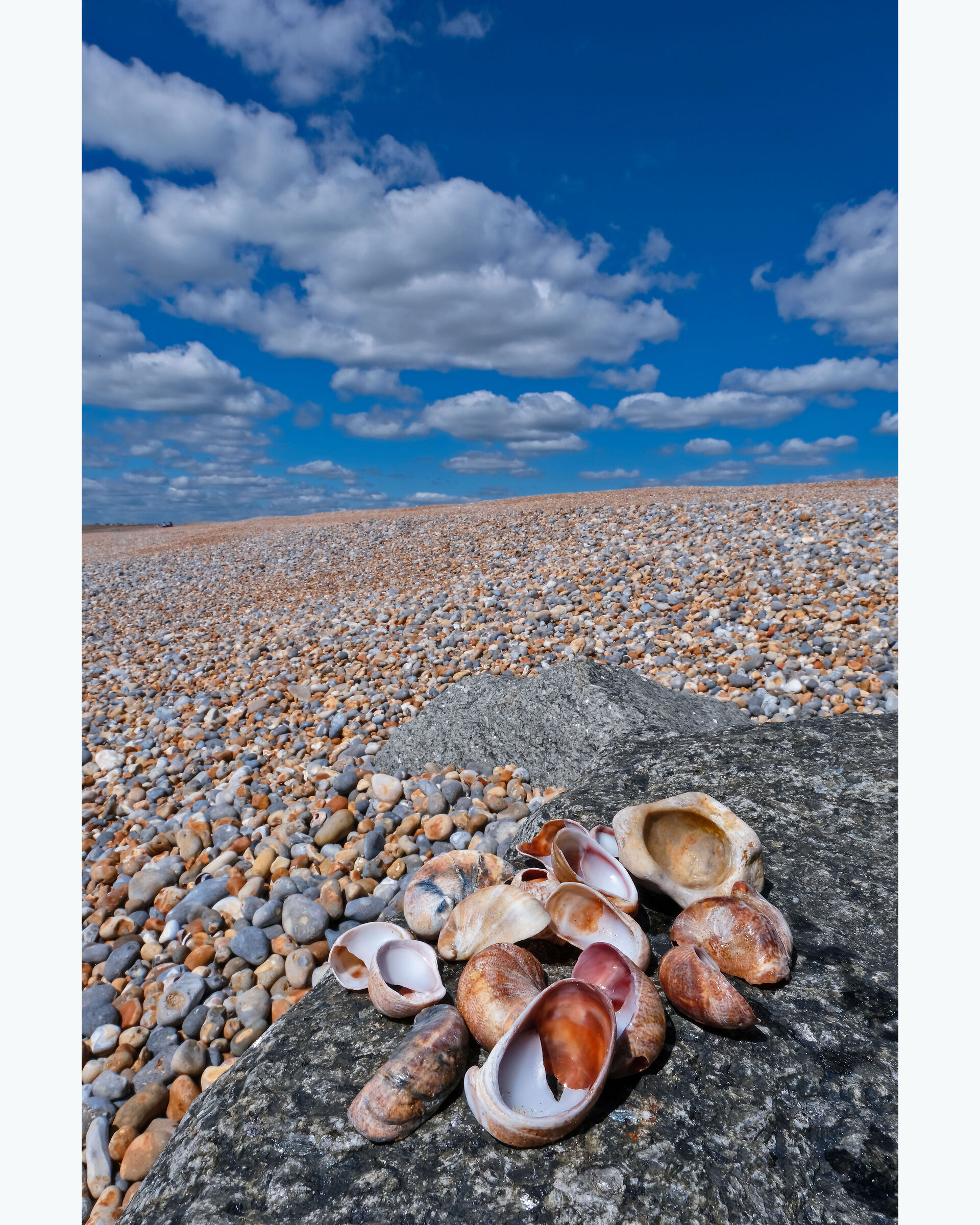 RYE - Camber Sands e le spiagge infinite della Manica
