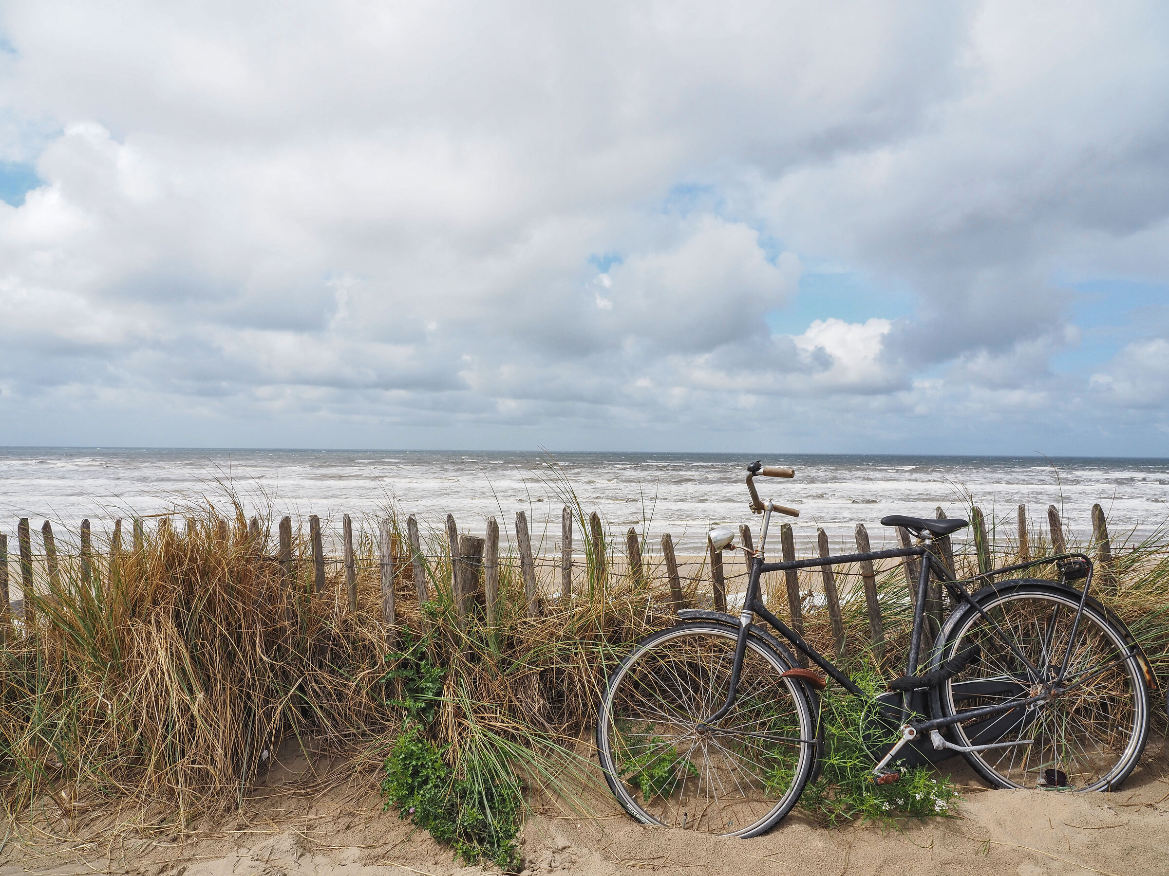 an old bicycle at the seaside