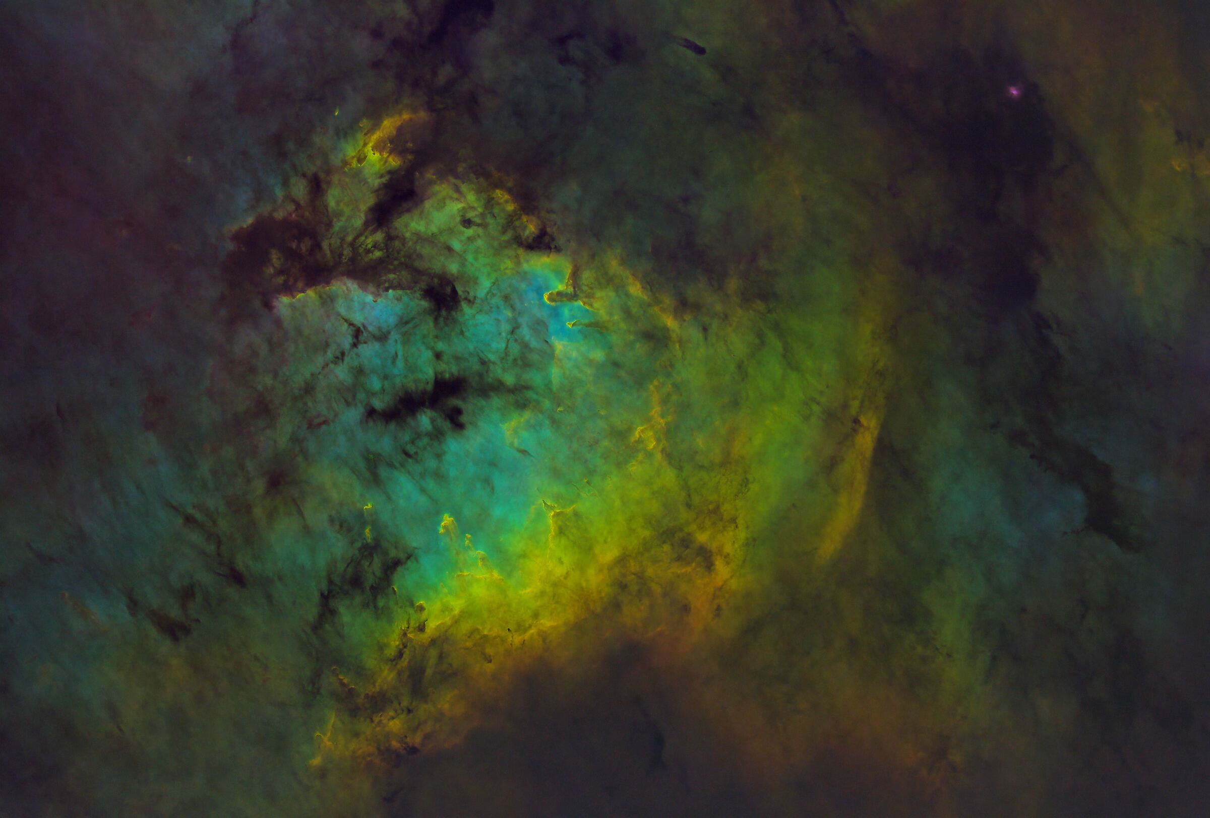 Al centro del teschio