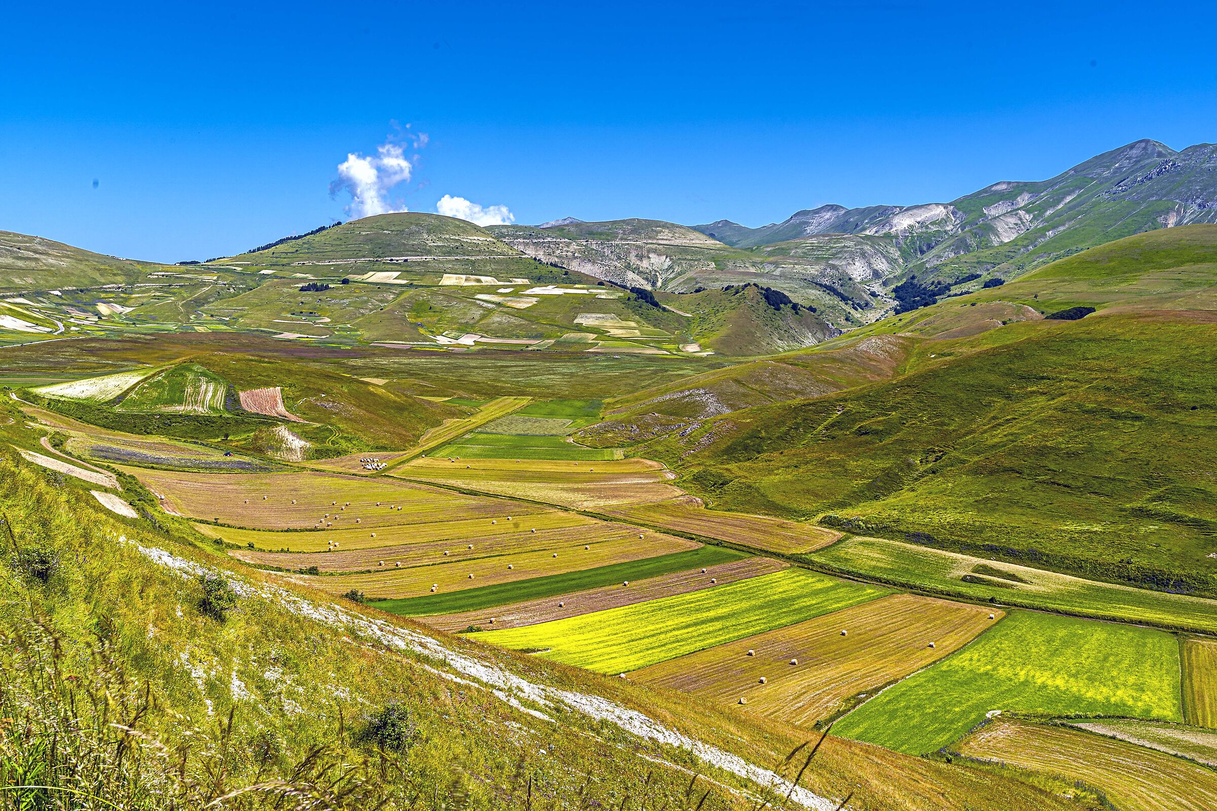 CASTELLUCCIO 21