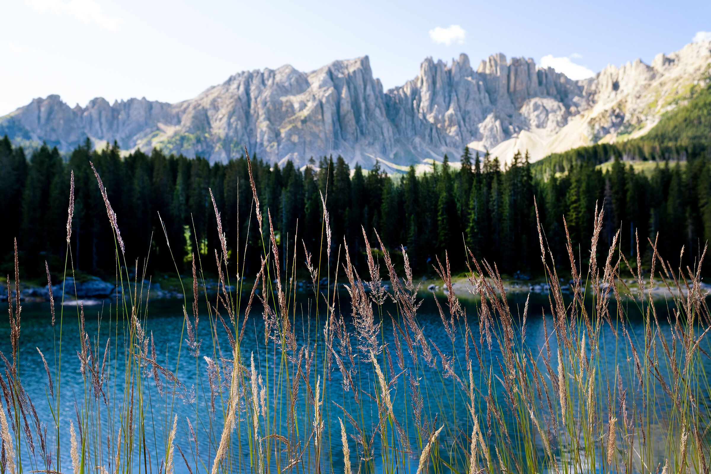 carezza03