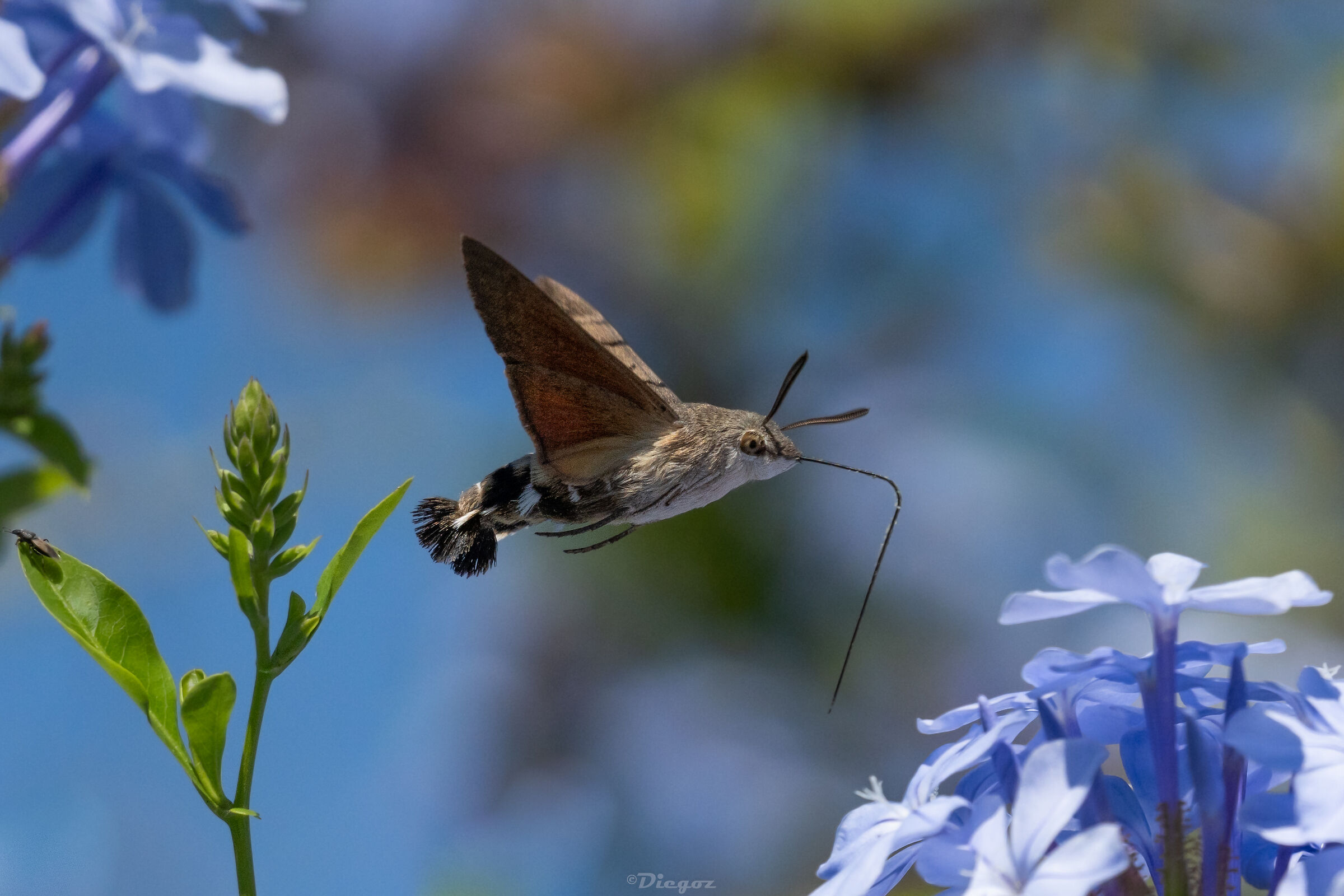 Untitled Photo