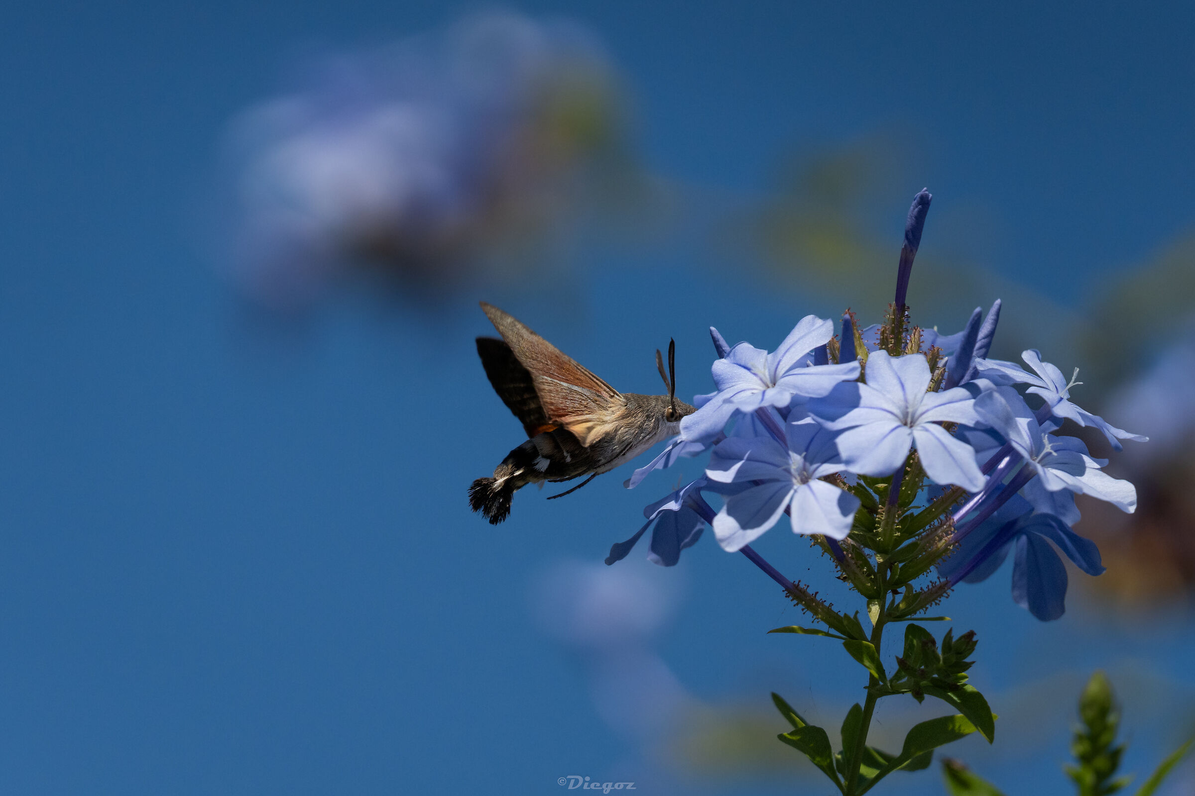 Untitled Photo