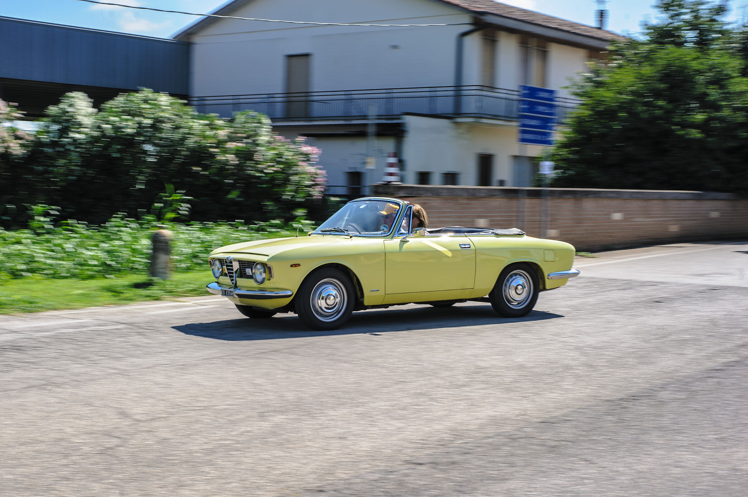 Alfa Romeo Giulia GTC