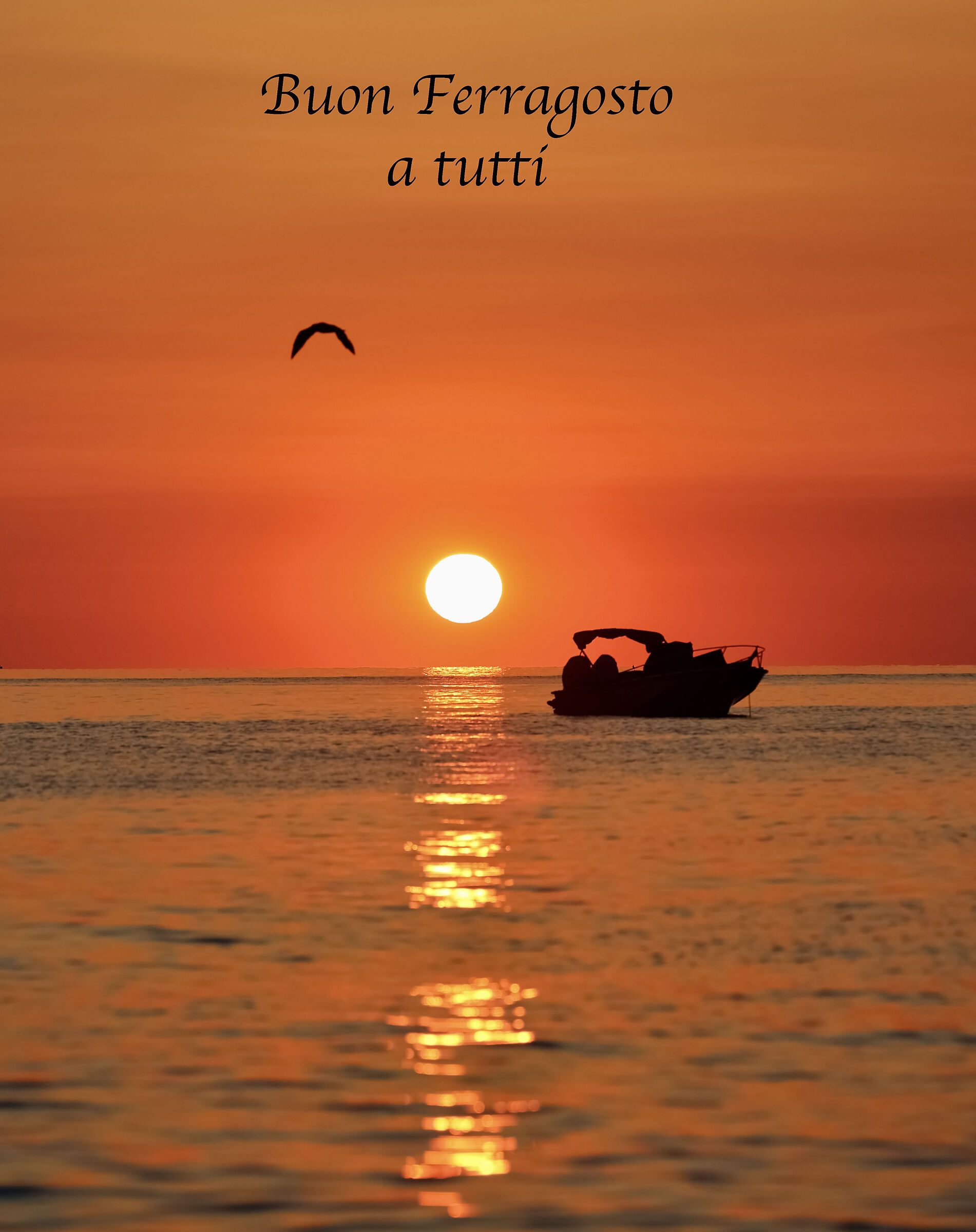 Il gabbiano e la barca