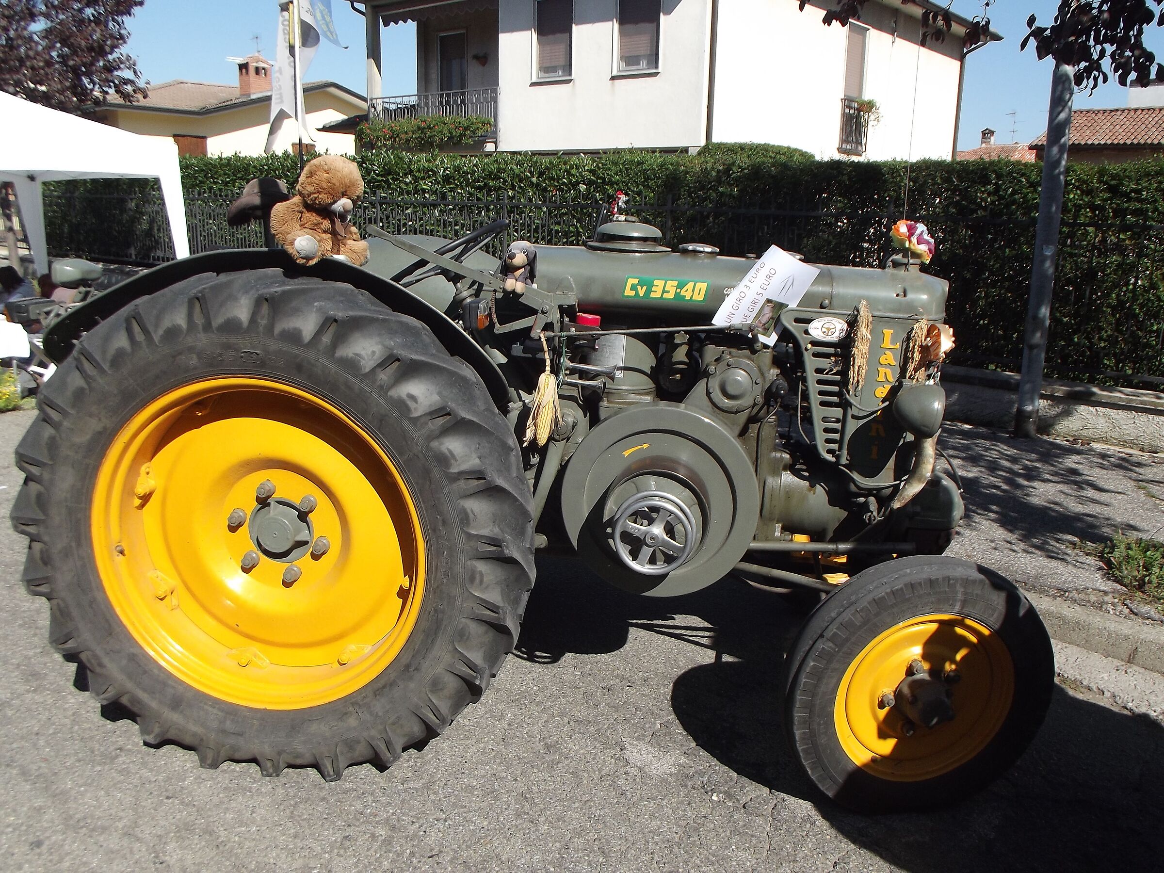Landini a testa calda