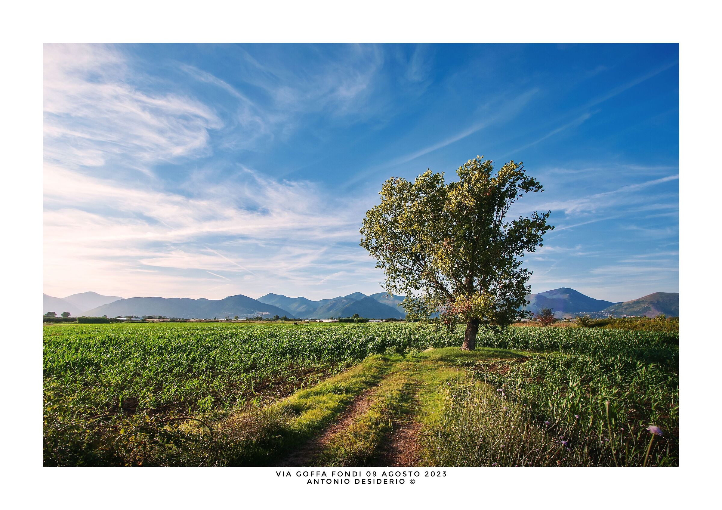 A clear summer afternoon...