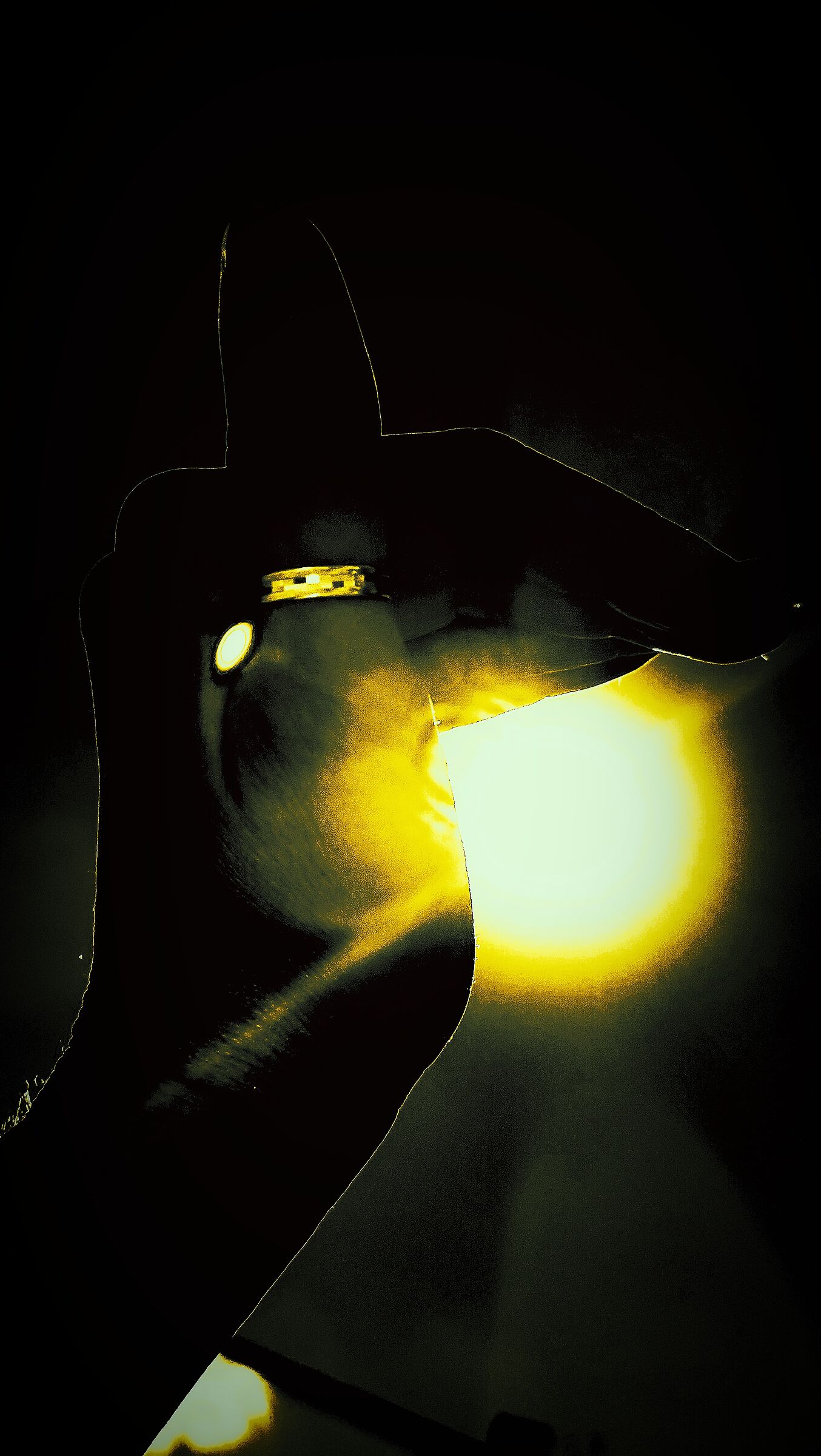 The sun in the palm of your hand