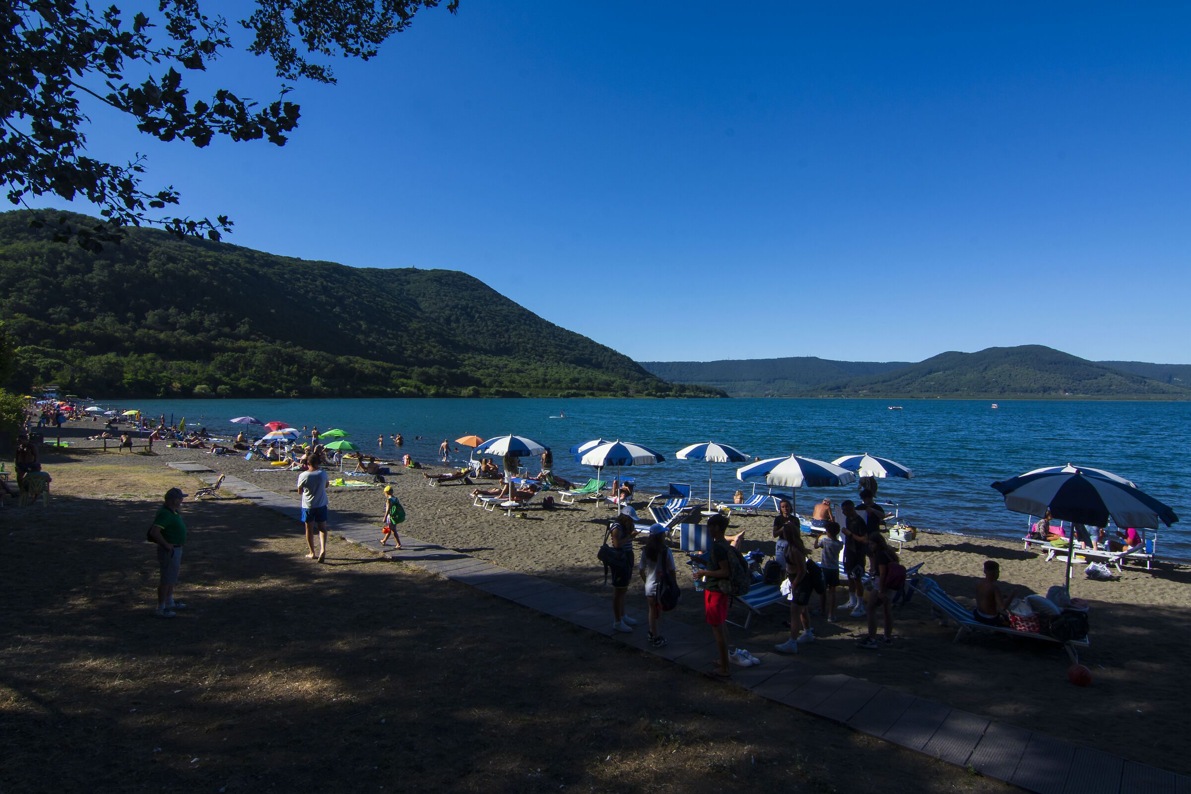 From the barrino of Lake Vico (VT)