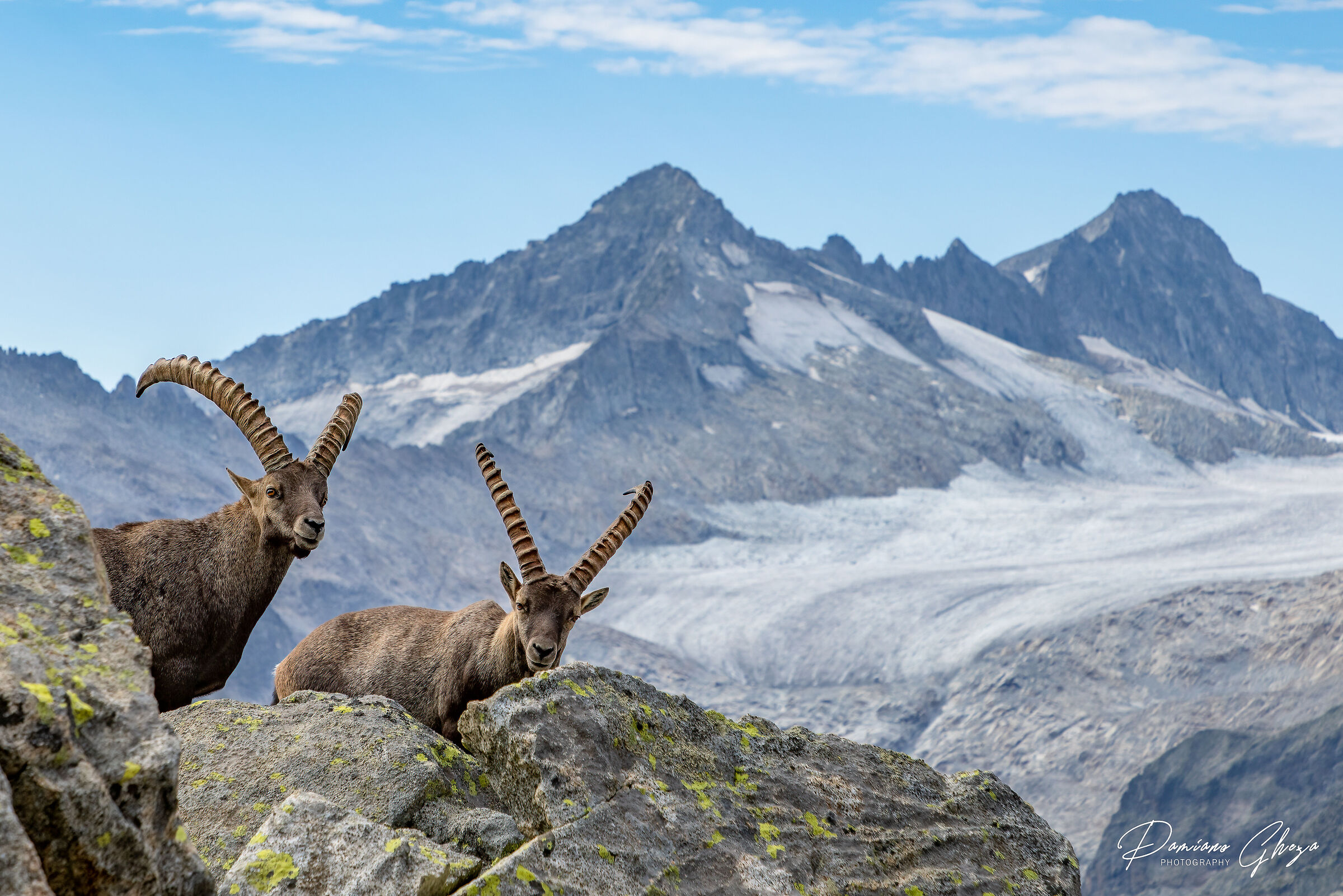The guardians of the peaks