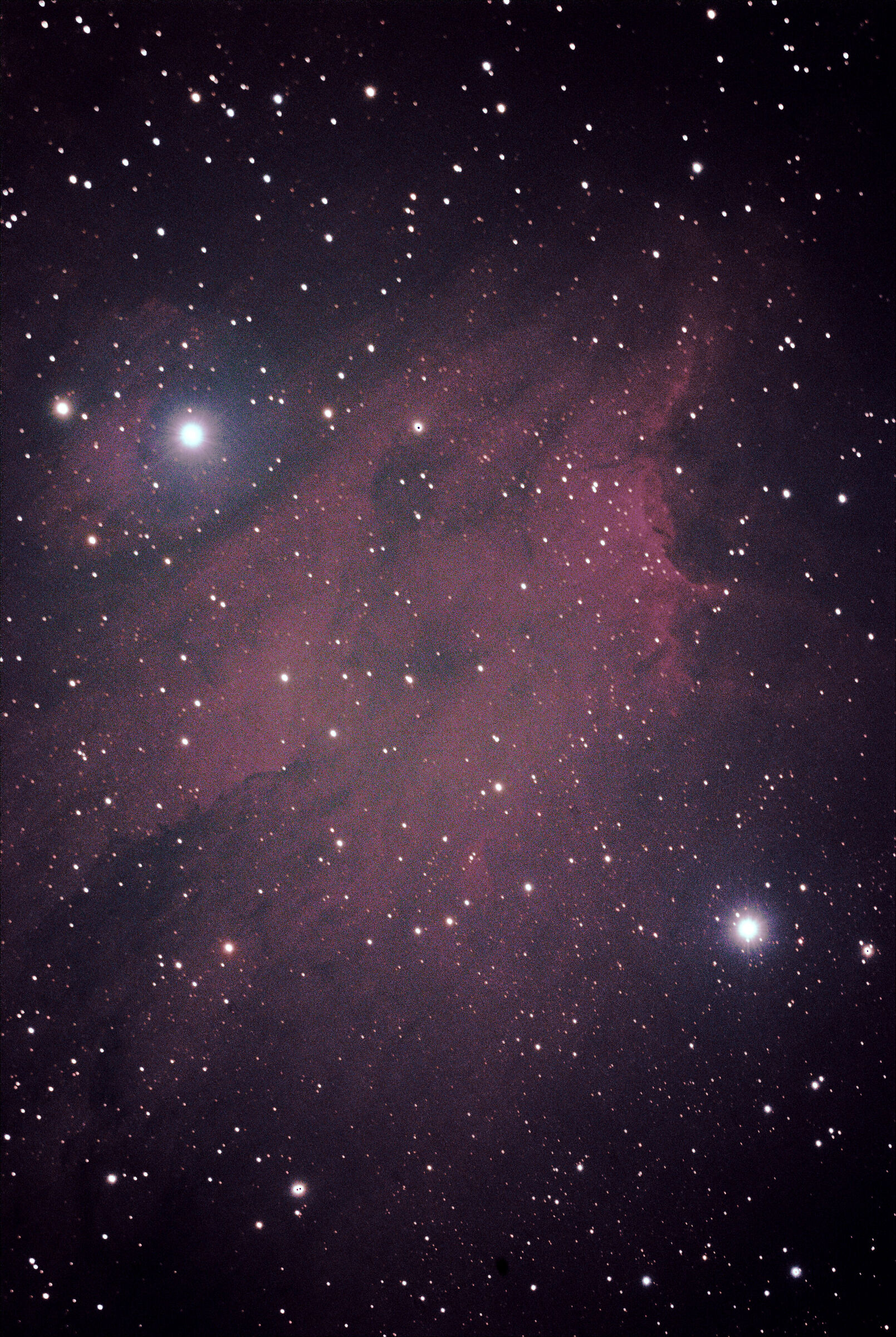 Pelican Nebula