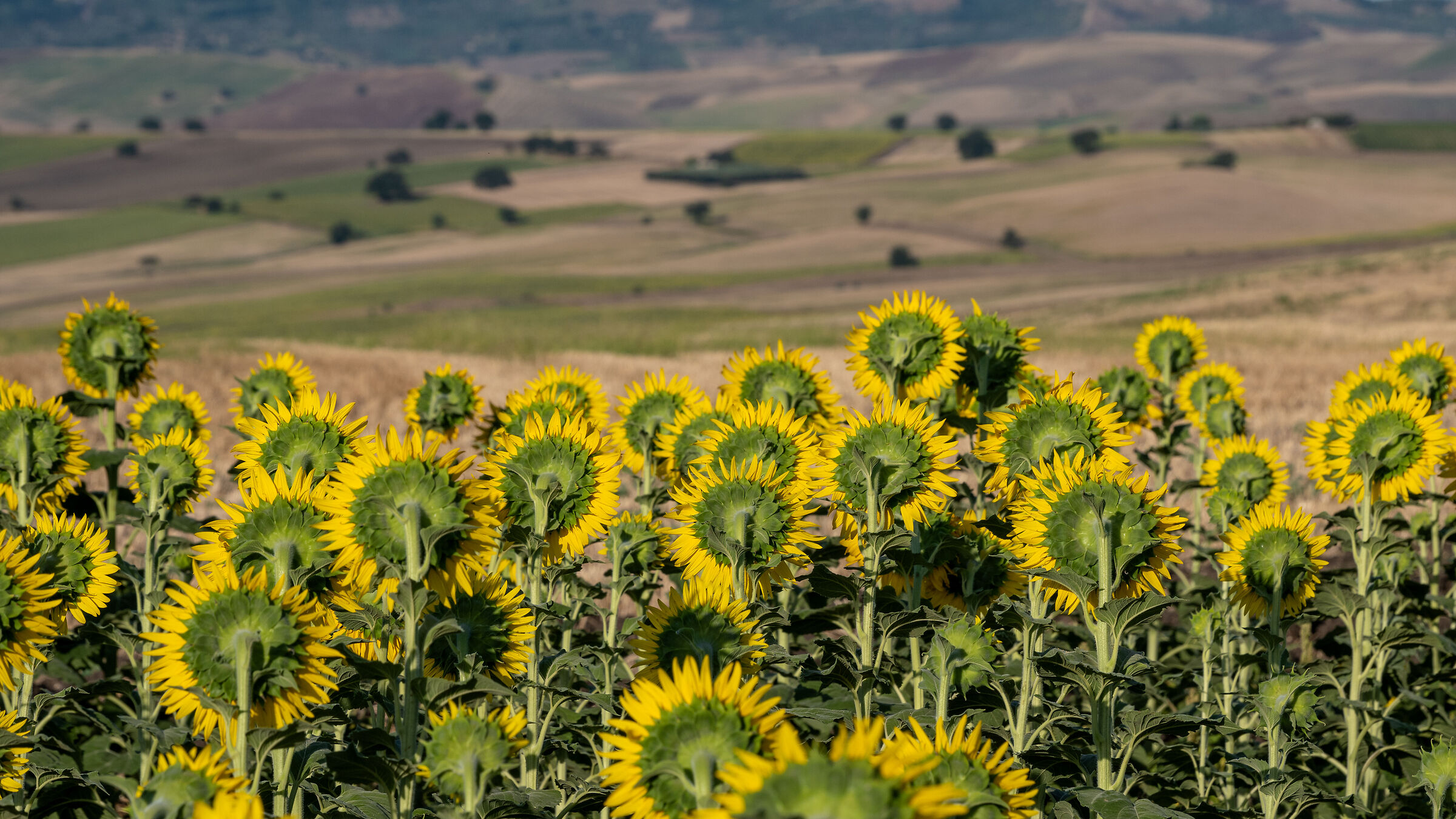 Spectators of a breathtaking view