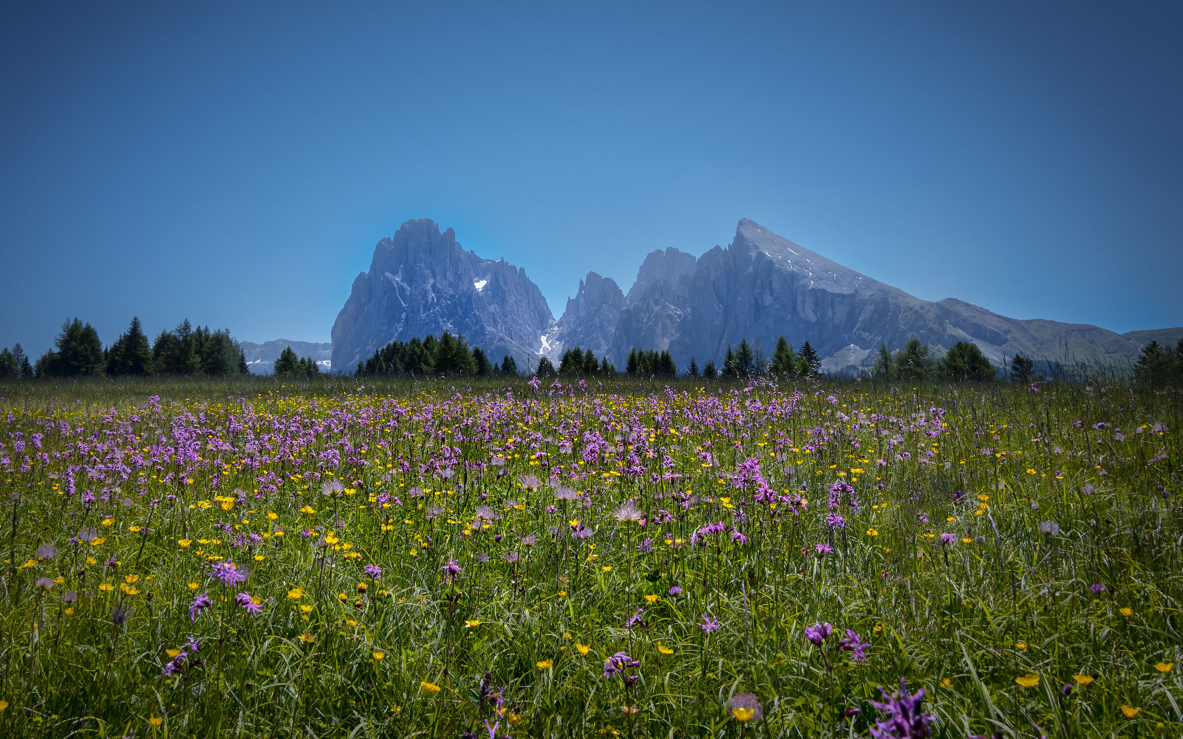 Alpe di Siusi