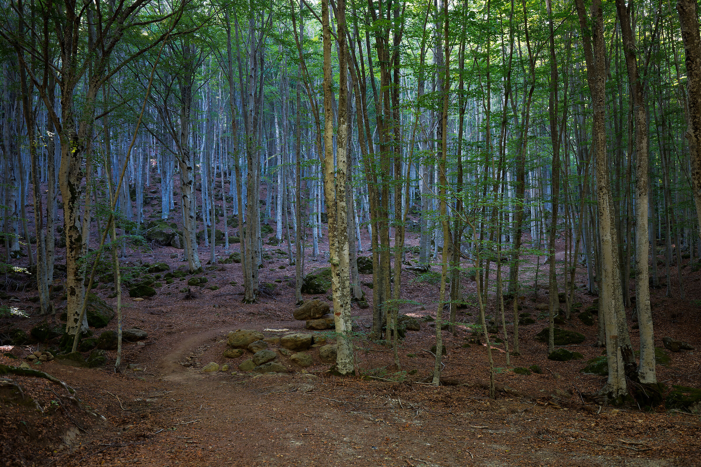Untitled Photo