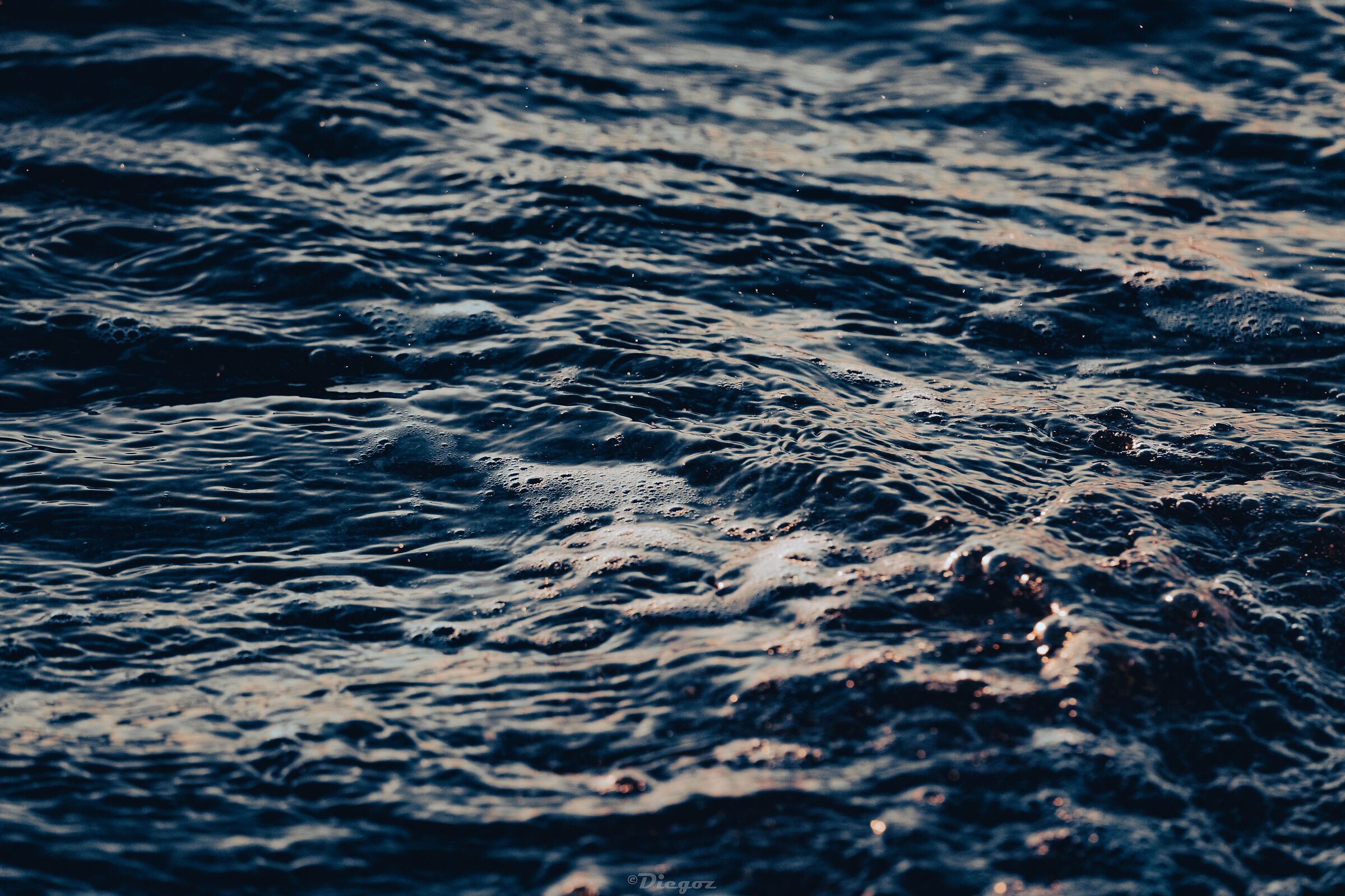 Untitled Photo