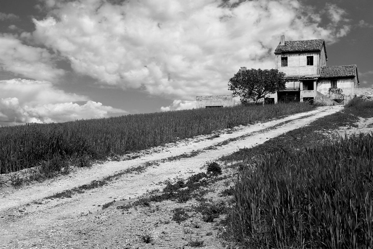 The house of the snake