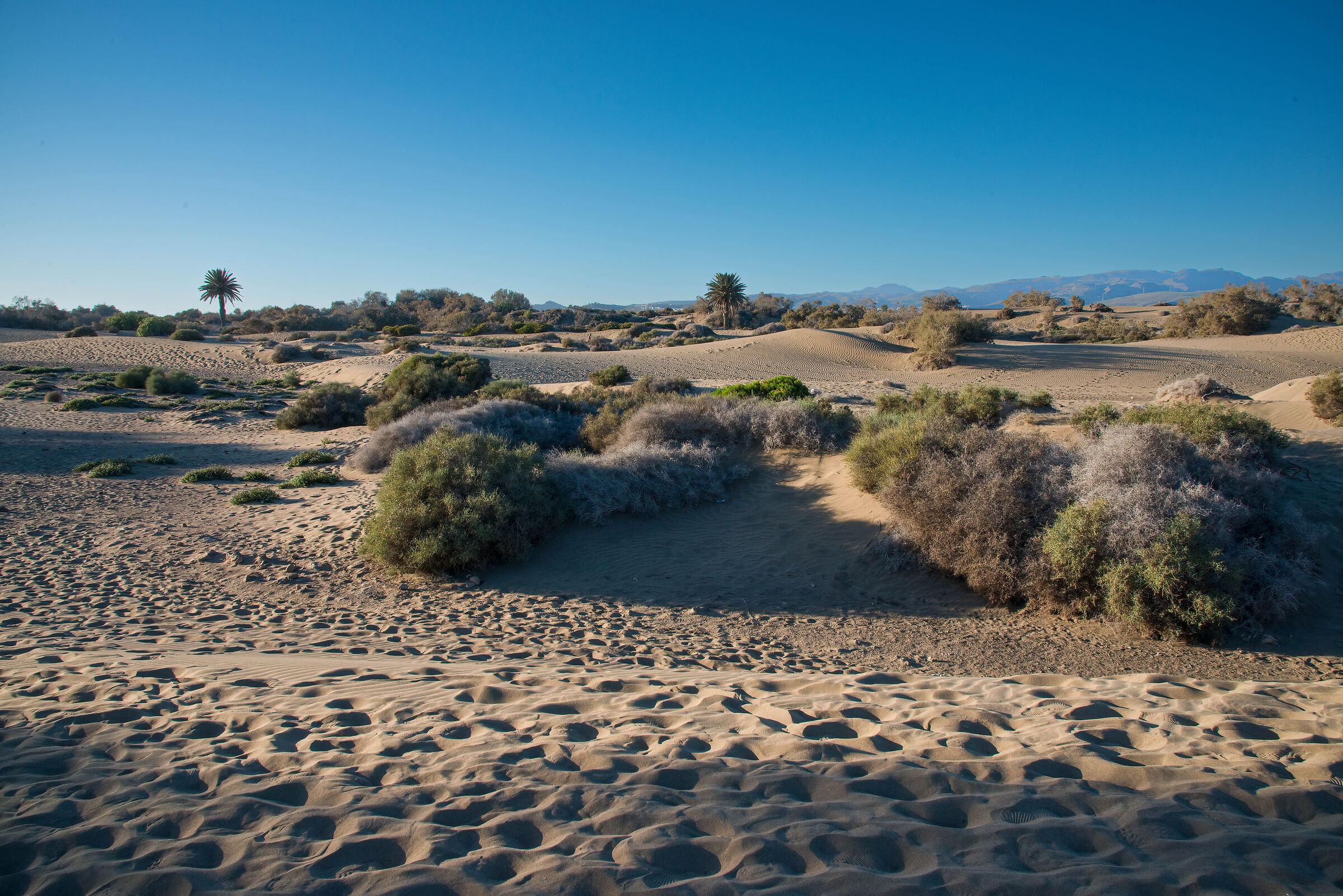 dunes