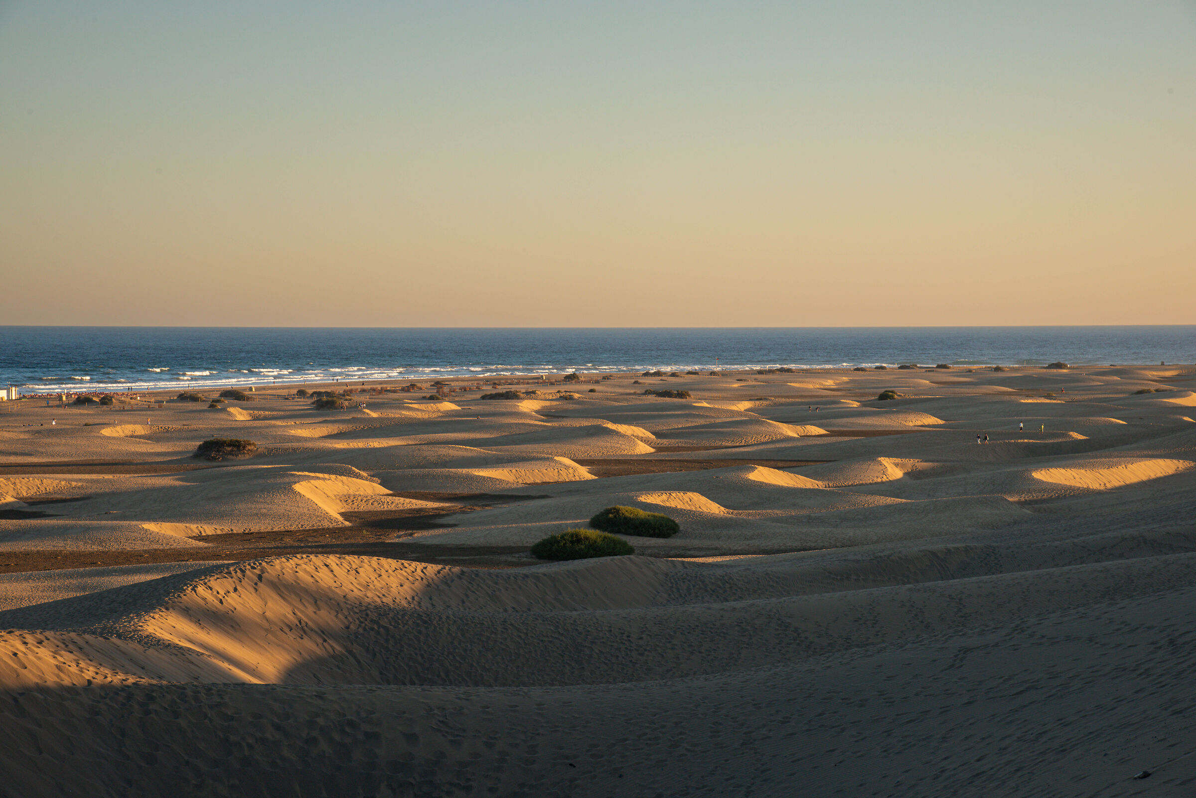 dunes of Maspalomas