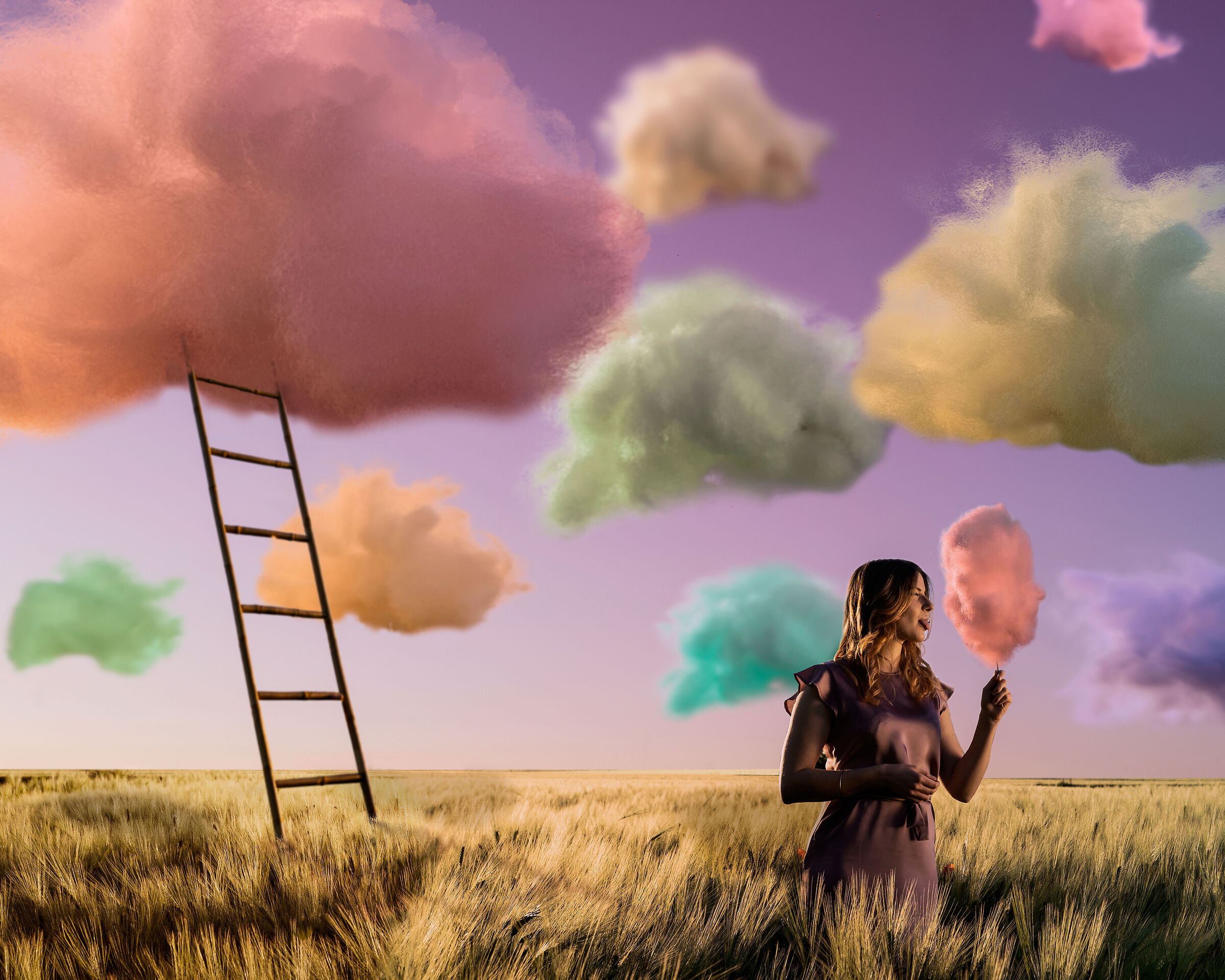 Ladra del campo di zucchero filato