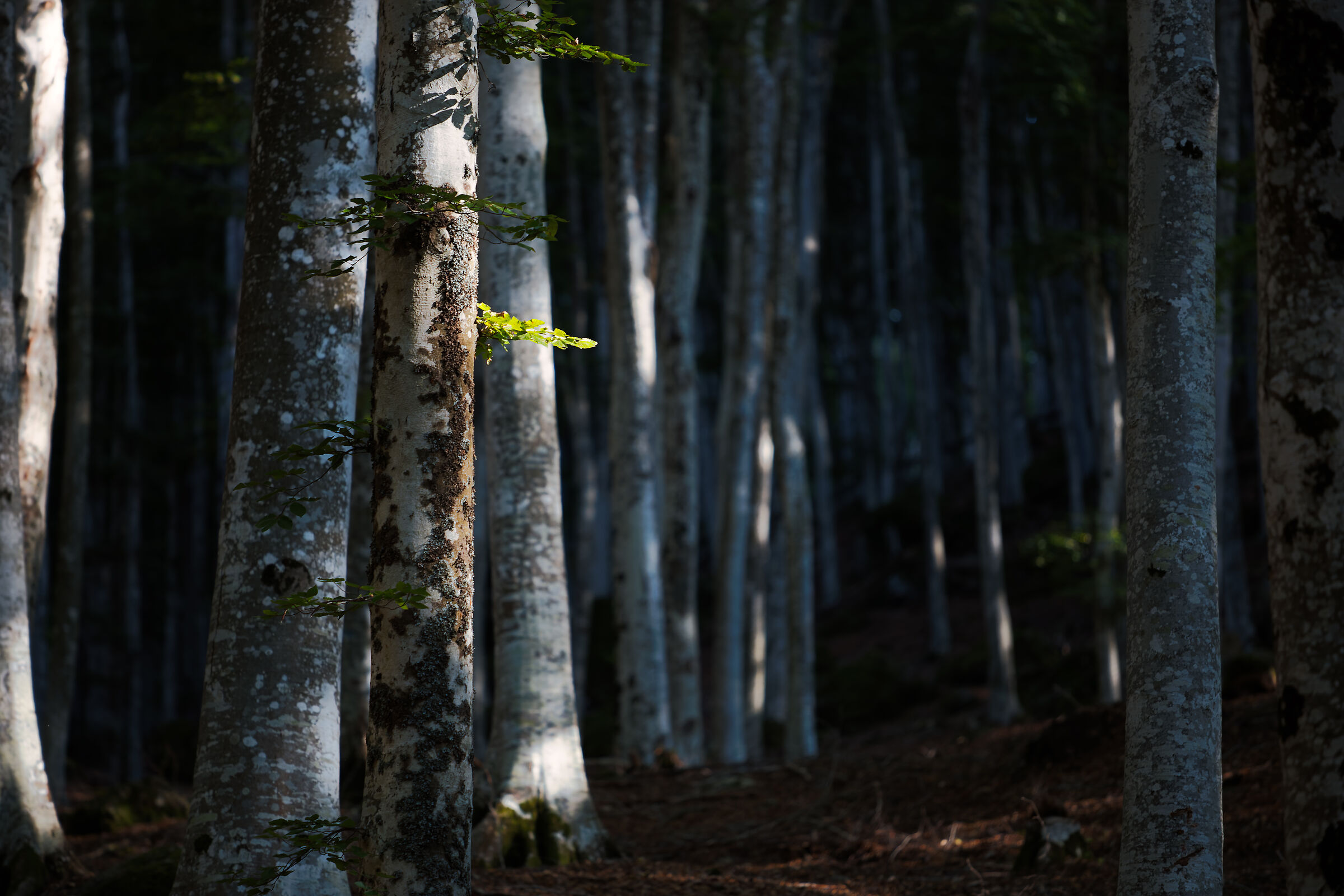 Untitled Photo