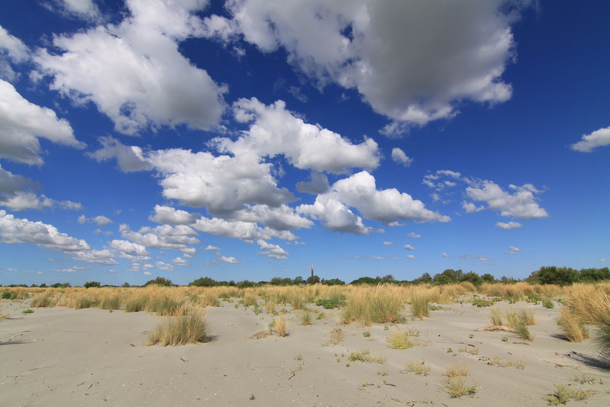 Scano Boa, cielo vegetazione e sabbia.