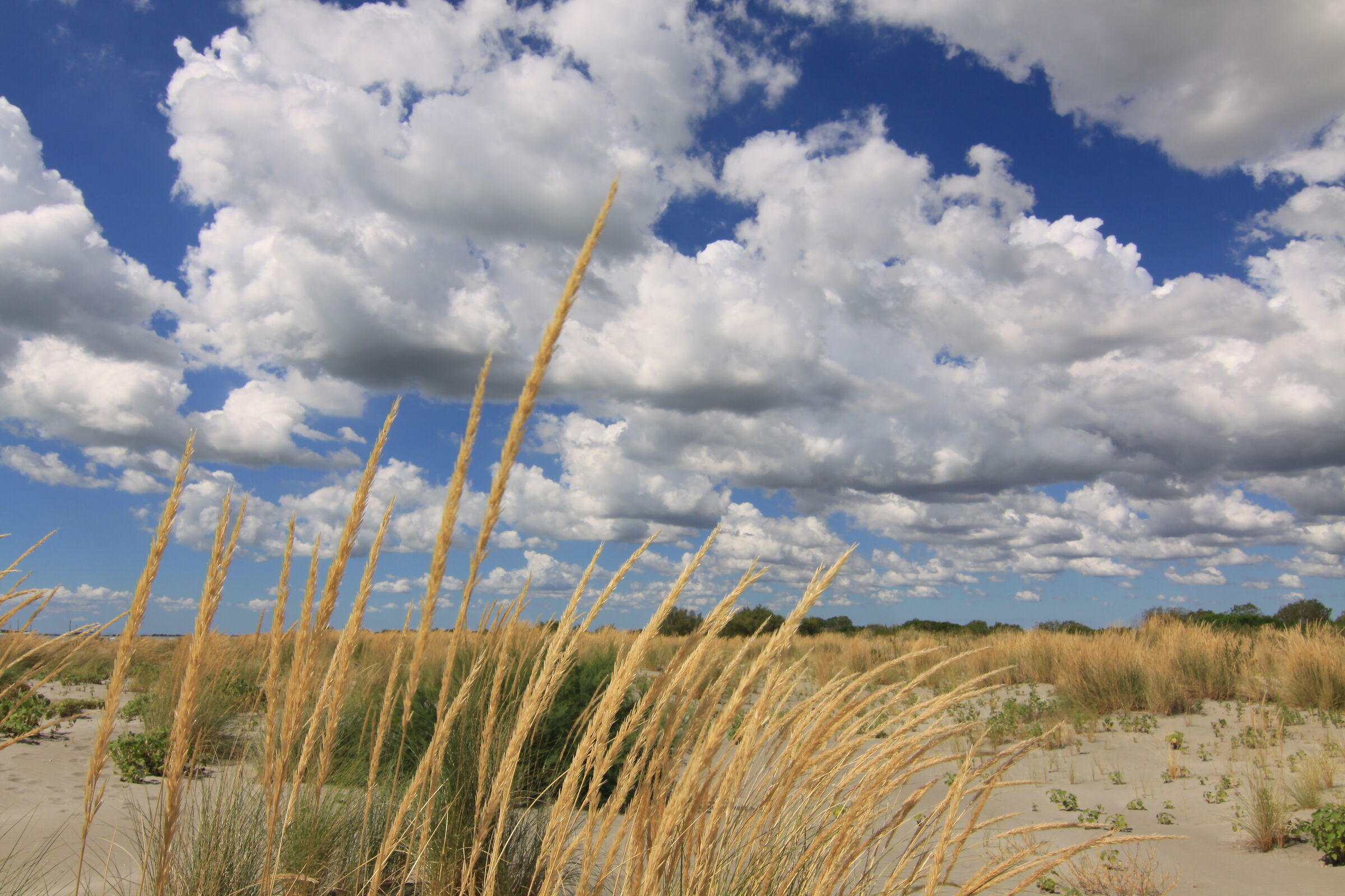 Scano Boa, cielo vegetazione e sabbia.