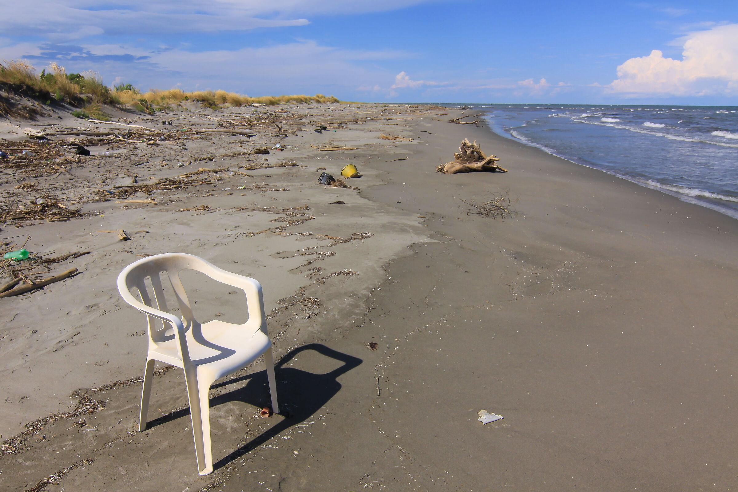 Scano Boa, l' intruso.