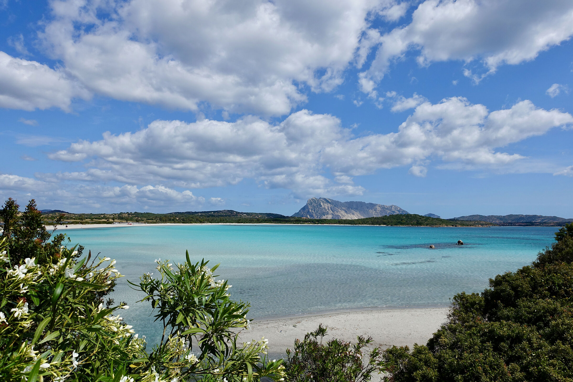 Sardinia in spring