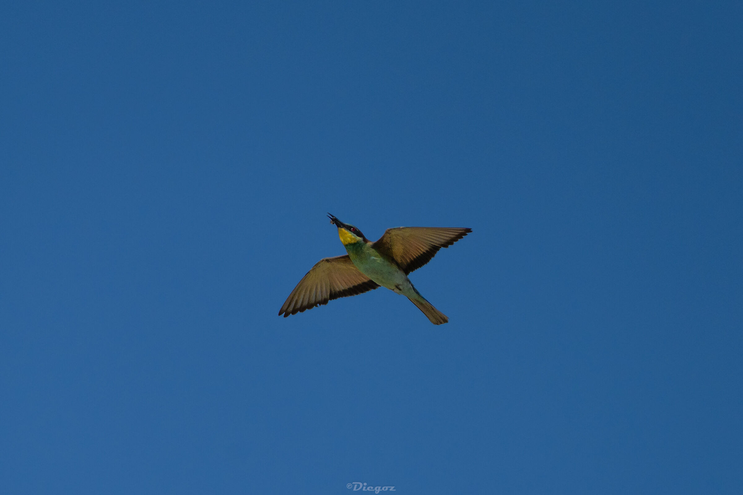 Untitled Photo