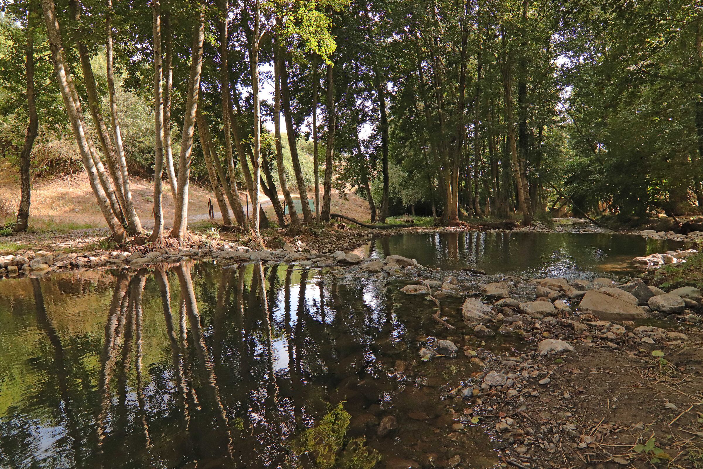 Down to the river